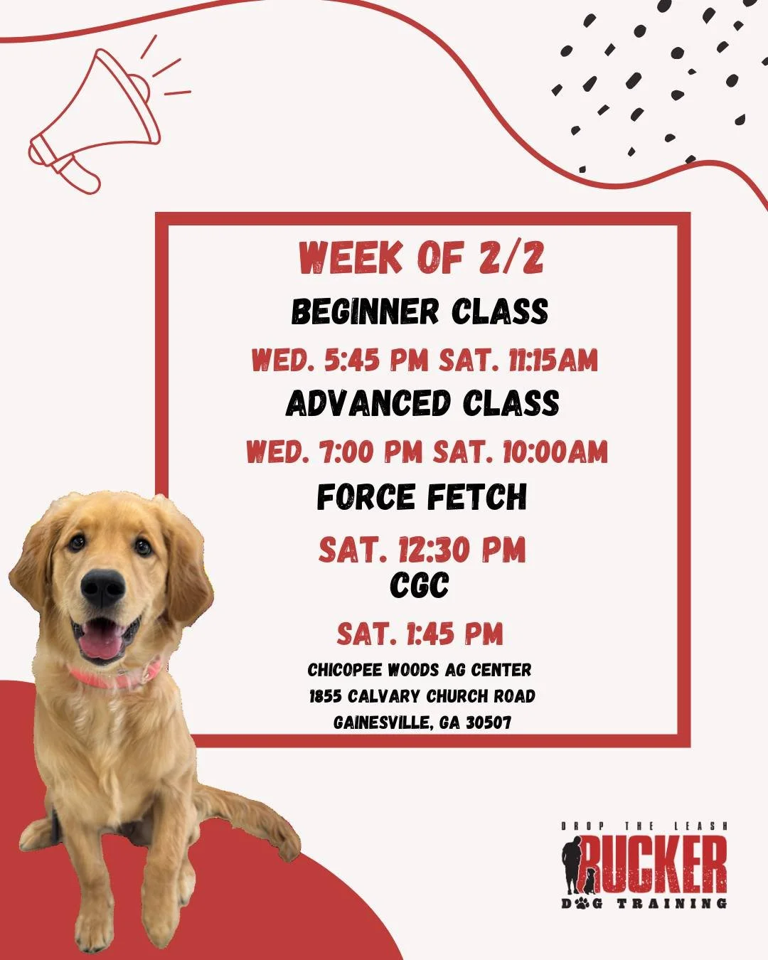Gainesville &ndash; Wednesday &amp; Saturday

Another week, more progress! 🎉
Our Gainesville classes are continuing to build skills, confidence, and consistency across all levels.

🗓 Wednesday
🐾 Beginner &ndash; 5:45 PM
🐾 Advanced &ndash; 7:00 PM