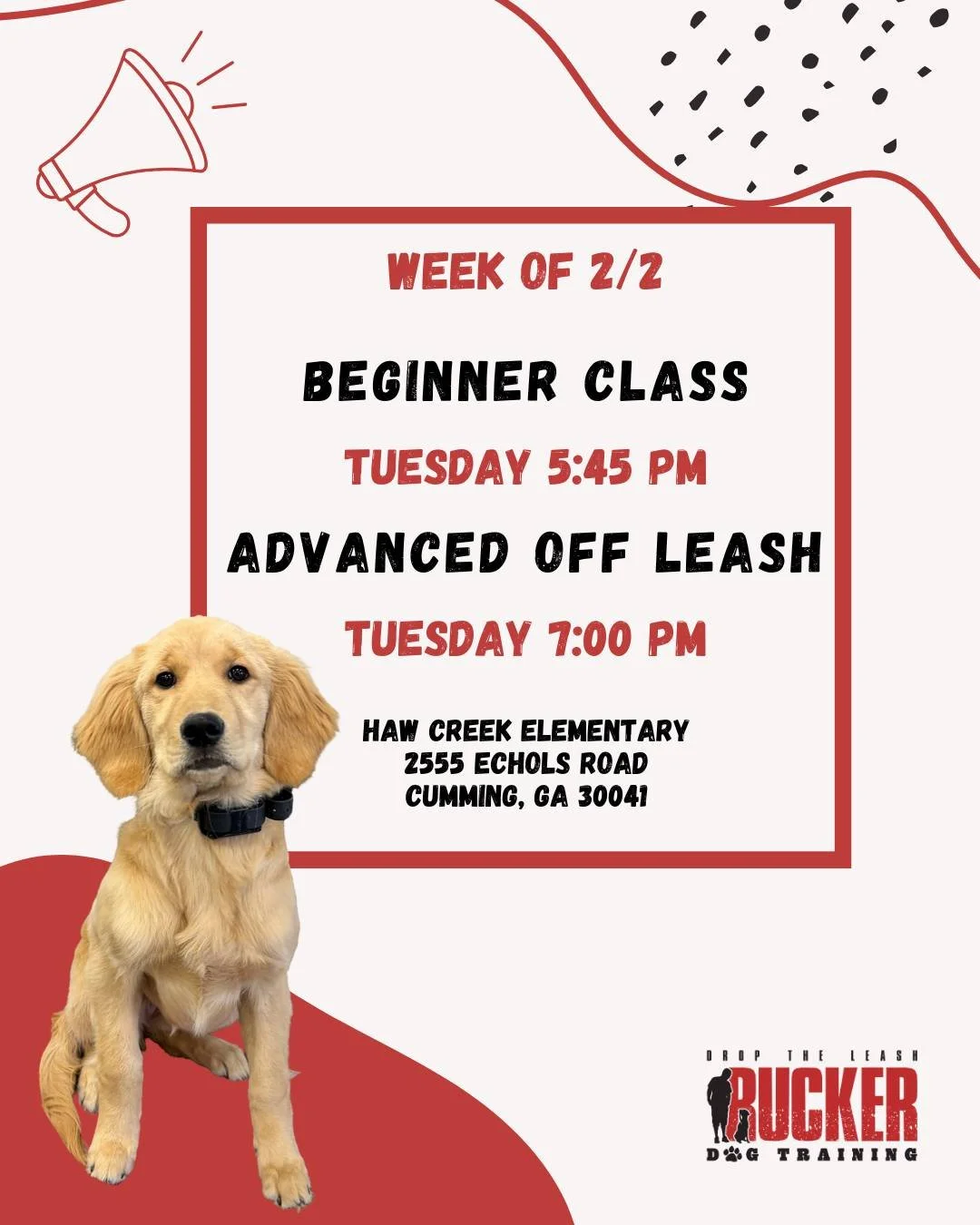 Haw Creek &ndash; Tuesday Classes

We&rsquo;re rolling right into another strong week of training! 💪
Beginner dogs are continuing to add commands and build reliability, while our Advanced Off Leash teams are polishing skills and control.

🗓 Tuesday