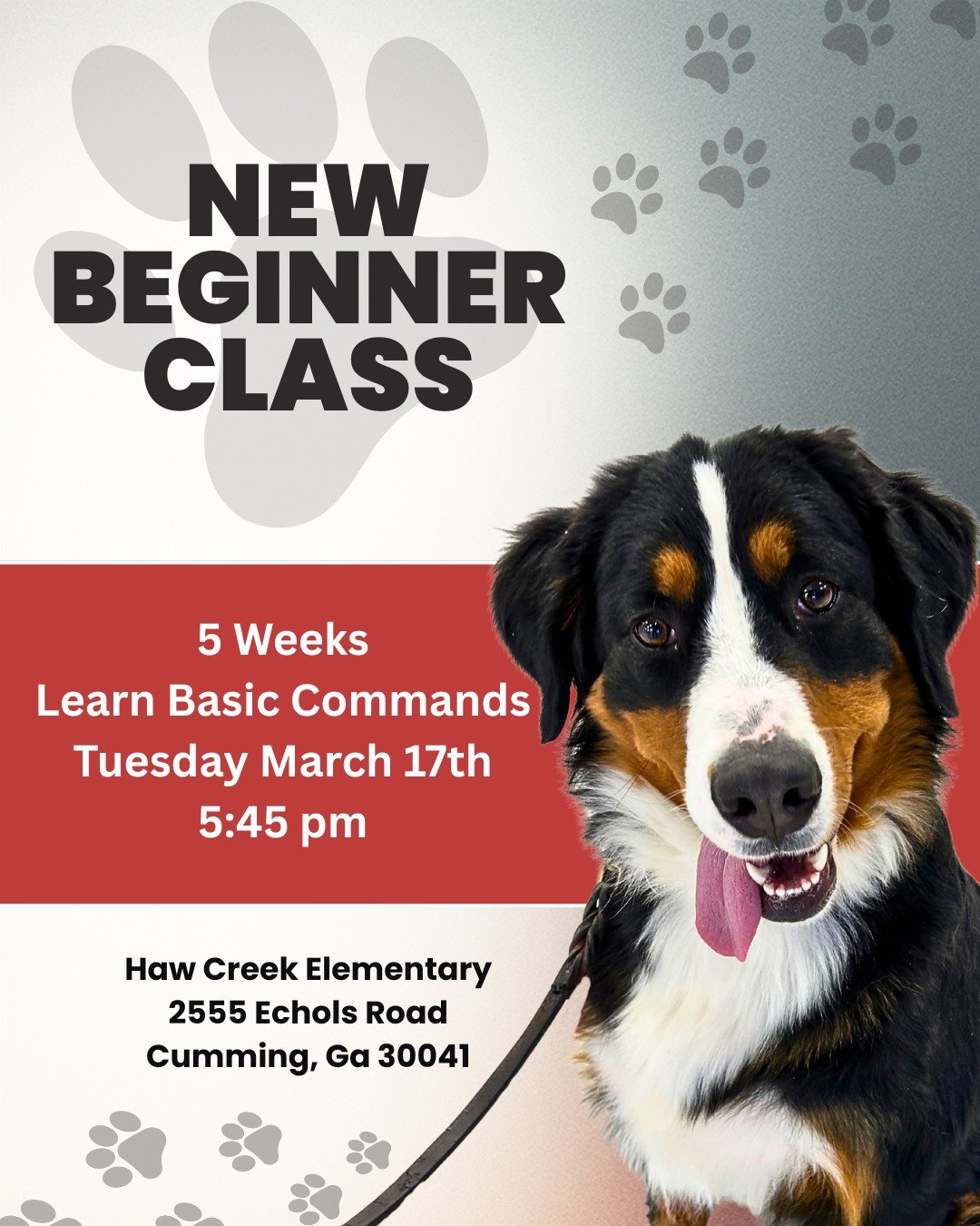 🐾 New Beginner Class &mdash; Let&rsquo;s Get Started! 🐾

New pup? Ready to build better basics? This 5-week Beginner Group Class focuses on creating strong foundations through clear communication, confidence-building, and fun&mdash;perfect for pupp