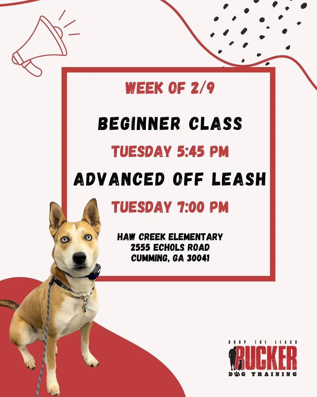 📍 South Forsyth &ndash; Haw Creek Elementary

Beginner test week is here! 🐾🎓

Our Tuesday Beginner teams will be testing this week, showing off the commands, leash skills, and focus they&rsquo;ve been building throughout the session. It&rsquo;s al