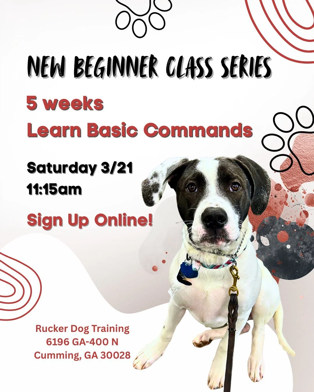 🐾 New Beginner Class Series is almost here! 🐾

Our 5-week Beginner Group Class is perfect for dogs ready to build a strong foundation and learn essential, real-life skills in a supportive group setting.

✨ Learn basic commands
✨ Build focus, confid