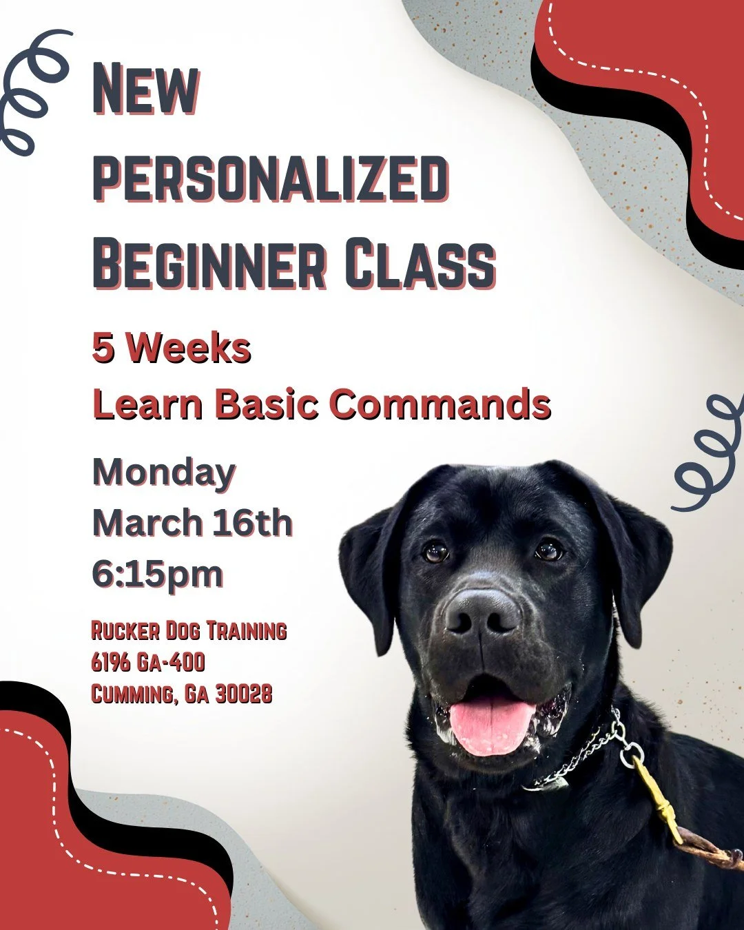 🐾 Personalized Beginner Class &mdash; Let&rsquo;s Get Started! 🐾

Ready to build better basics? Our 5-week Personalized Beginner Class is designed to help you and your pup create strong foundations in a focused, supportive setting.

✨ Learn essenti