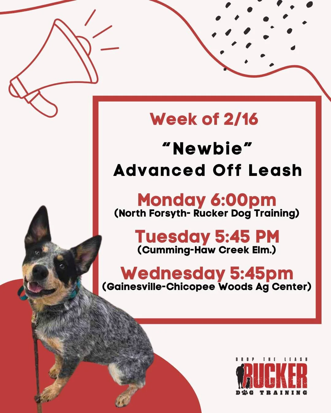 Week of 2/16 and our &ldquo;Newbie&rdquo; Advanced Off Leash crews are ready to level up! 👏🐾

A big welcome to our recent Beginner class graduates joining us in Advanced Off Leash &mdash; we&rsquo;re excited to see you take the next step and start 