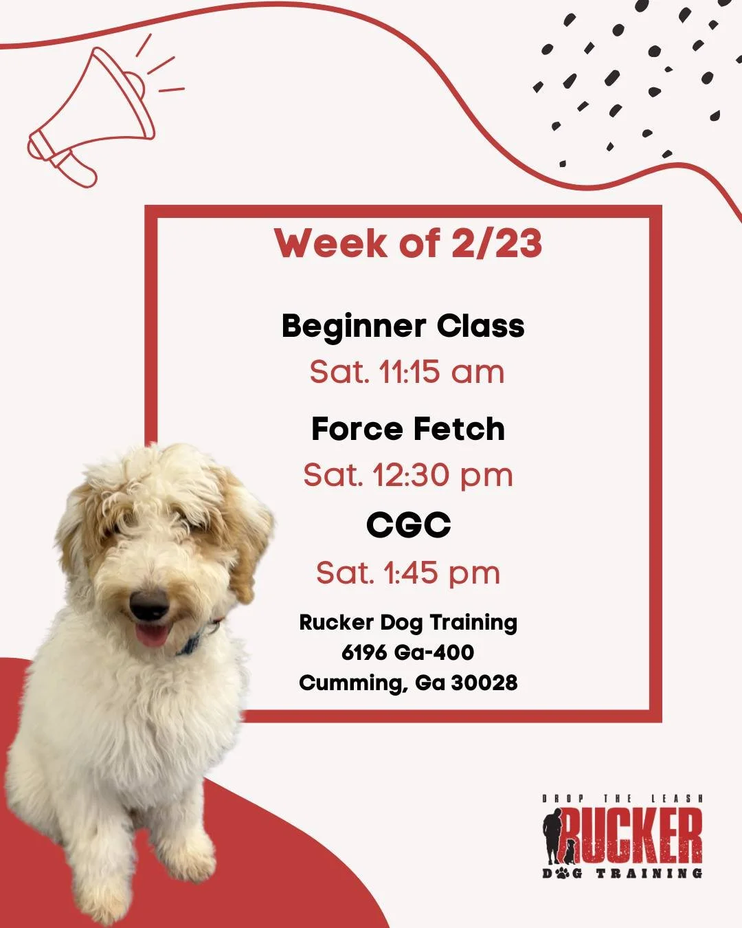Week of 2/23 &ndash; TEST WEEK for Saturday Classes 🎓🐾

It&rsquo;s Week 5 for our Saturday crew &mdash; time to put all that hard work to the test!

🕚 Beginner Class &ndash; 11:15 AM
Final week &mdash; showing off all commands and progress from th
