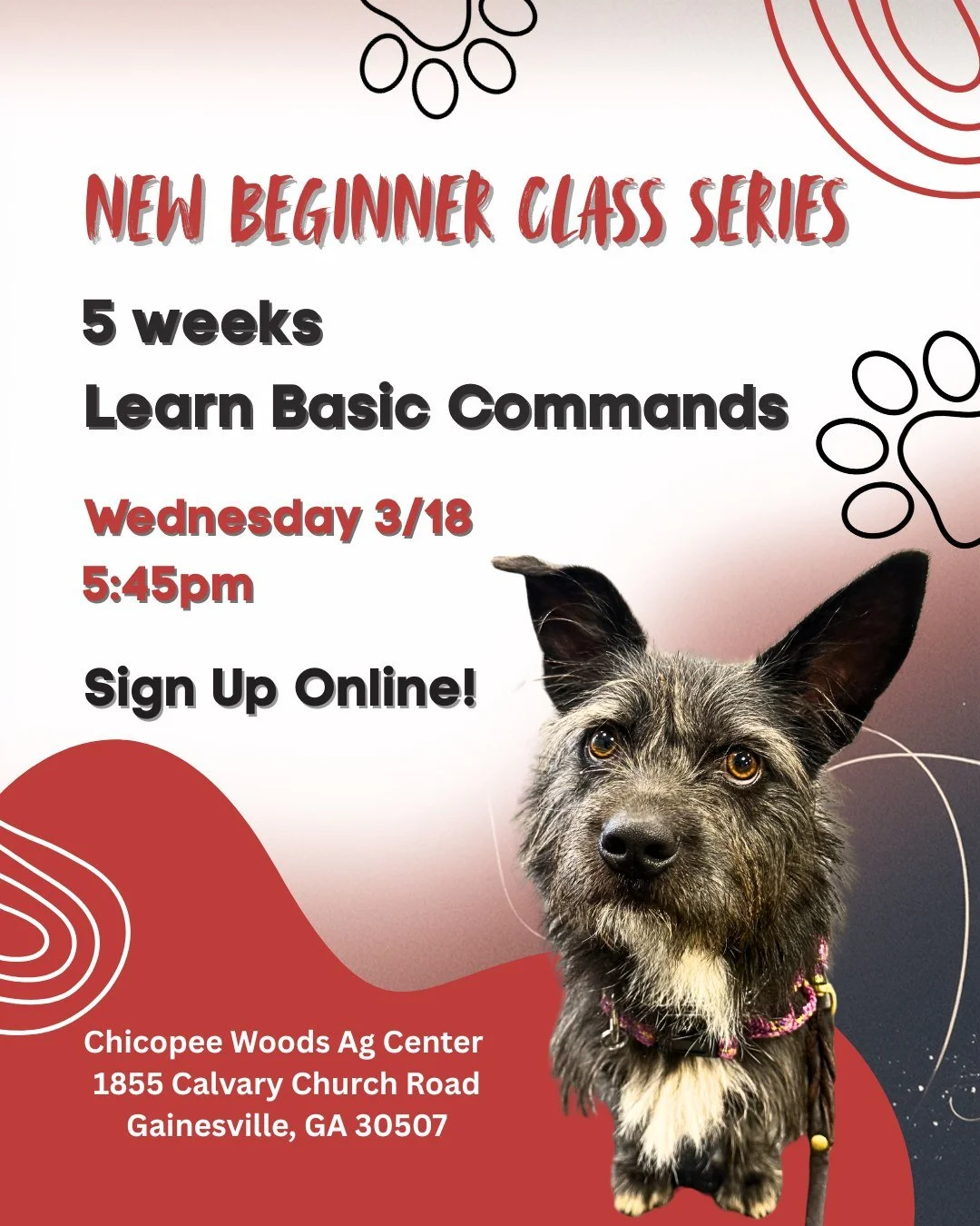 🐾 Wednesday Beginner Class is Almost Here! 🐾

Our next 5-week Beginner Class Series kicks off soon and we can&rsquo;t wait to get started!
✨ Learn basic commands
✨ Build better focus &amp; leash manners
✨ Create a strong foundation for future train