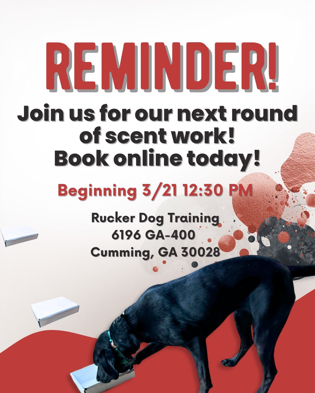 👃 Ready to put that nose to work?

Our next Scent Work session begins

🗓 Saturday, 3/21 at 12:30 PM

📍 Rucker Dog Training
6196 GA-400 N
Cumming, GA 30028

This class taps into your dog&rsquo;s natural sniffing ability and turns it into focused, p