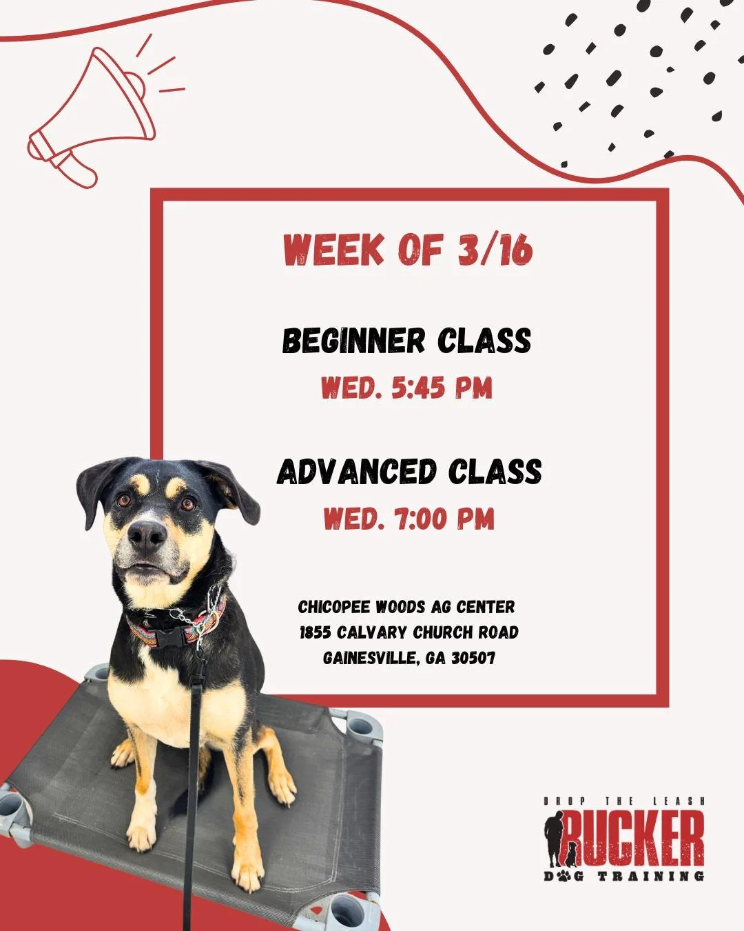 Gainesville - Chicopee Woods Ag Center

We&rsquo;re back the week of 3/16 in Gainesville! 🐾

Looking forward to seeing our returning pups and welcoming a new Beginner group starting their training.

📍 Chicopee Woods Ag Center
Beginner &ndash; Wedne