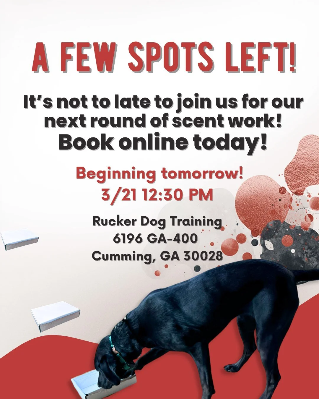 🐾 A few spots left! 🐾

It&rsquo;s not too late to jump into our next round of Scent Work&mdash;starting tomorrow!
Build confidence, focus, and let your dog put their nose to work. 🐶👃

📅 3/21 | ⏰ 12:30 PM
📍 Rucker Dog Training &ndash; Cumming

S
