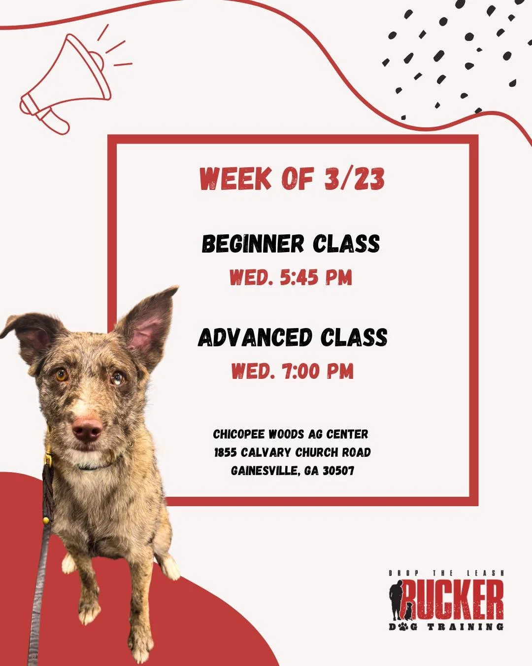 Week 2 in Gainesville! 🐾

Our Beginner class is continuing to build on the basics while adding more commands, and our Advanced class is focusing on stronger control and consistency.

📍 Chicopee Woods Ag Center

Wednesday
Beginner &ndash; 5:45 PM
Ad