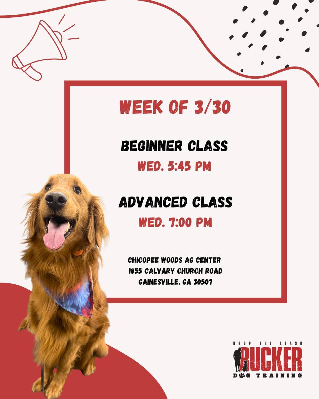 Gainesville 

Week 3 in Gainesville! 🐾

Our Beginner class is continuing to build on the basics while adding more commands and improving focus in a group setting.

Our Advanced class is dialing in consistency, control, and working through more real-