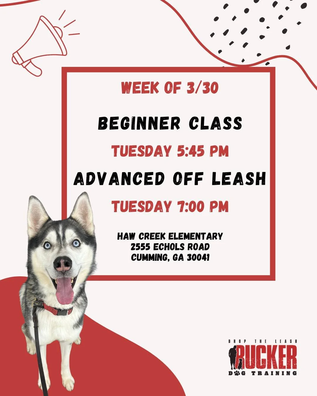 Cumming

Week 3 is here! 🐾

Our Beginner class is continuing to build on the basics while adding more commands and improving consistency around distractions.

Our Advanced Off Leash pups are sharpening their skills&mdash;working on better control, r