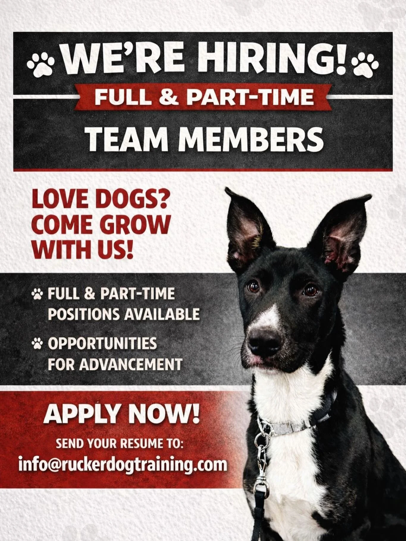🐾 We&rsquo;re Hiring at Rucker Dog Training! 🐾

We&rsquo;re looking for full- and part-time kennel techs and trainers who love dogs and are ready to work hard, learn, and grow with us. If you&rsquo;re dependable, motivated, and thrive in a fast-pac