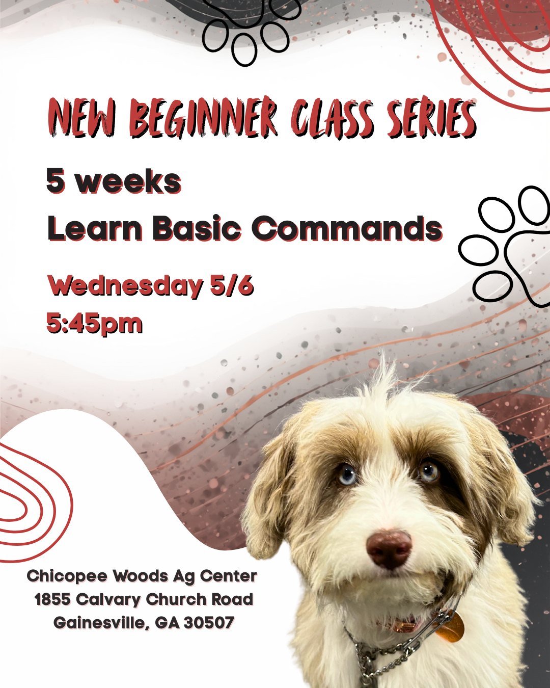 New Gainesville class just added! 🐾

Our next **Beginner Group Class** kicks off:
🗓 **Wednesday 5/6**
⏰ **5:45 PM**
📍 **Chicopee Woods Ag Center &ndash; Gainesville**

5 weeks focused on building strong foundations and teaching your pup all the ba