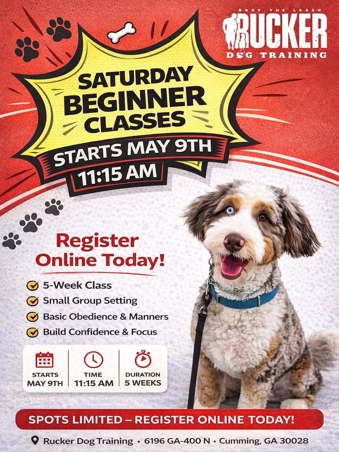 Saturday classes are back 👇

Our Beginner Class kicks off May 9th at 11:15 AM and is perfect for building a strong foundation with your dog in a structured, supportive group setting.

✔️ 5-week course
✔️ Small group setting
✔️ Basic obedience &amp; 