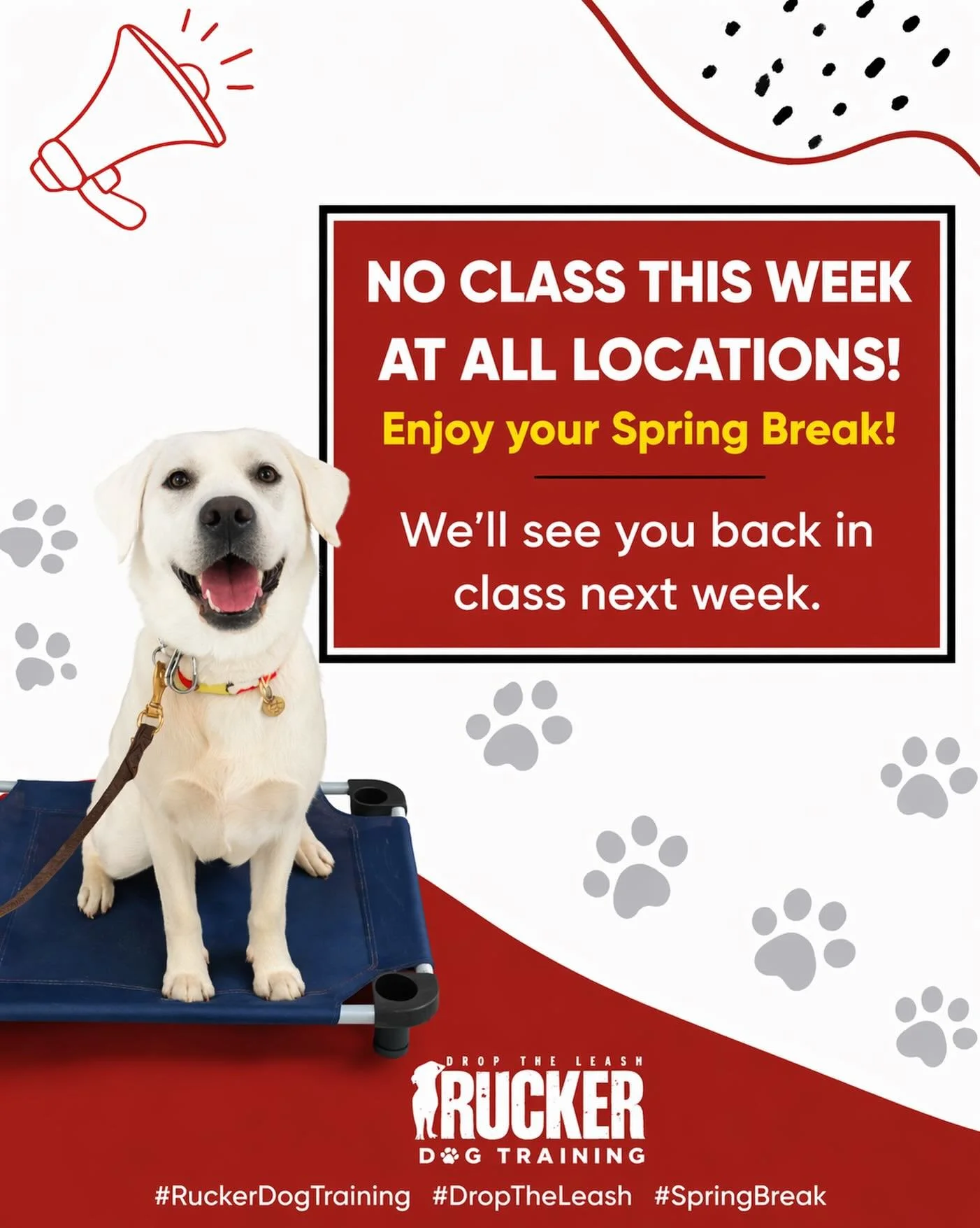 No classes this week at all locations as we take a break for Spring Break ☀️🐾

Enjoy the time off with your pups&mdash;get outside, have some fun, and keep practicing what you&rsquo;ve learned!

We&rsquo;ll see everyone back in class the week of 3/1