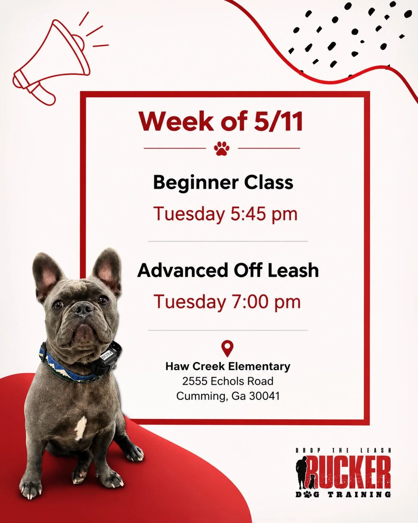 Week 2 is here and our Tuesday classes are off to a great start! 🐾

Our Beginner pups are continuing to work on loose leash walking and learning how to walk politely without pulling while building confidence each class. We&rsquo;ll also start adding