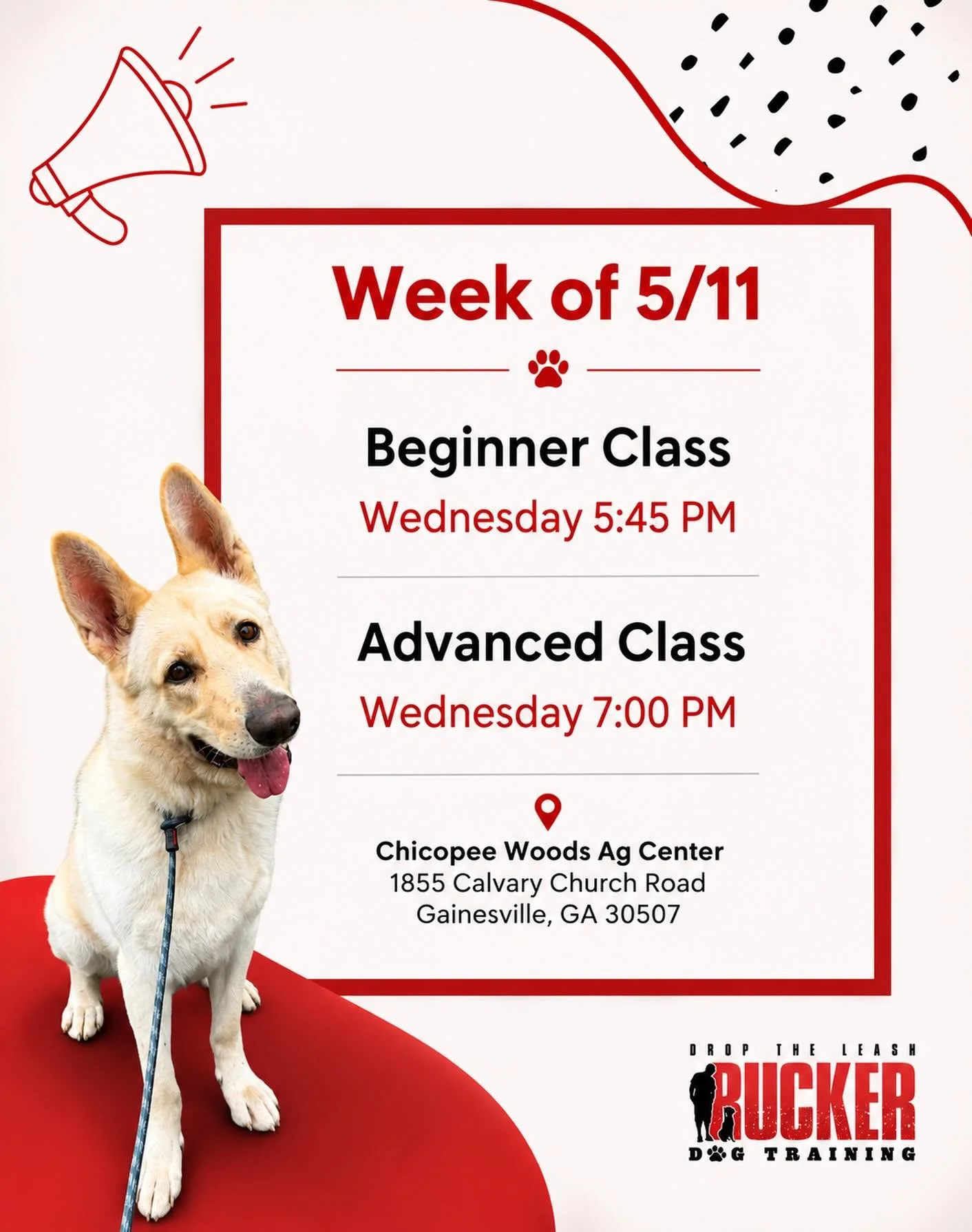 Week 2 and our Wednesday classes are making big progress already! 🐾

Our Beginner pups are continuing to focus on loose leash walking and learning to stay calm and connected with their handlers without pulling. We&rsquo;ll also begin adding more com