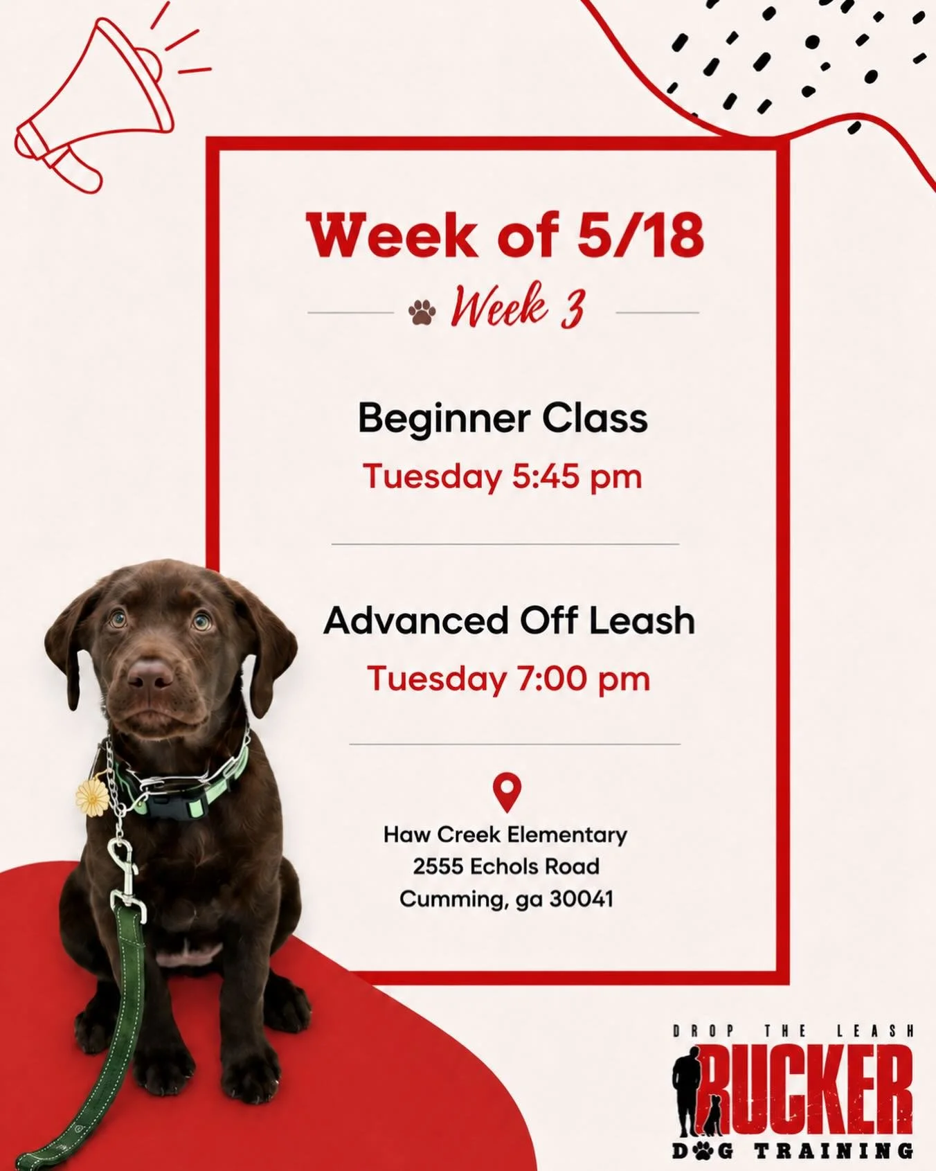 Week 3 is here for our Tuesday classes at Haw Creek! 🐾

Our Beginner pups are adding wait, take, and leave it this week while continuing to improve focus, leash manners, and overall confidence.

Our Advanced Off Leash teams are also back at it, cont