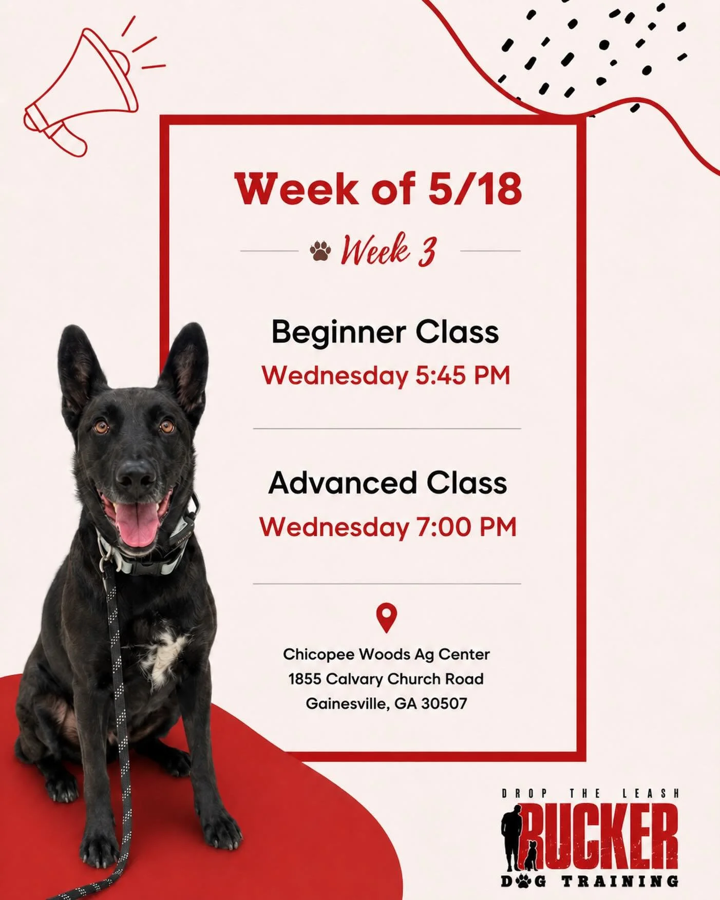 Week 3 and our Wednesday classes are moving right along! 🐾

Our Beginner pups are working on wait, take, and leave it this week while continuing to build better leash manners, focus, and communication with their handlers.

Our Advanced Class teams a