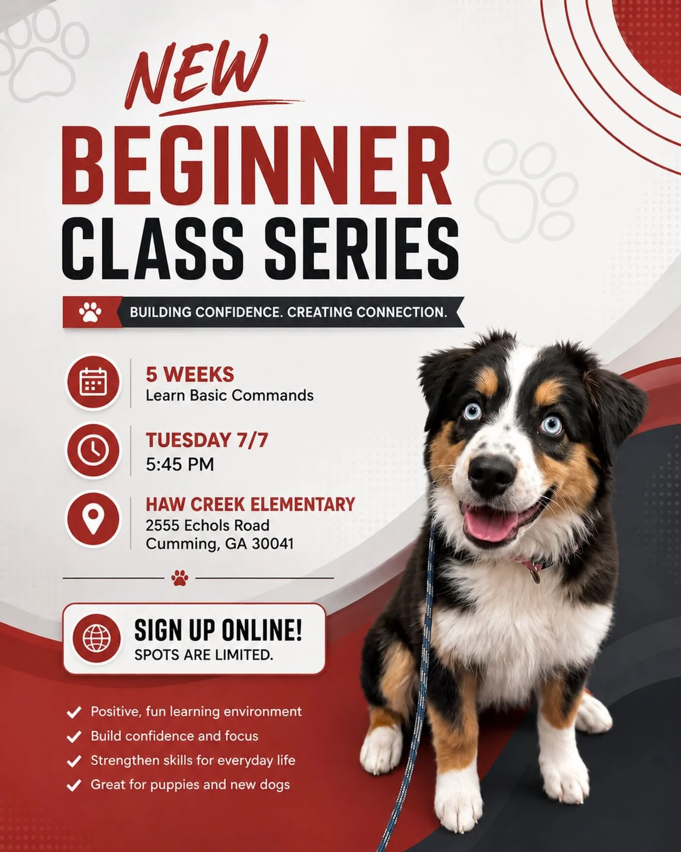 🐾 New Beginner Class Series! 🐾

Our next 5-week Beginner Group Class starts Tuesday, July 7th at 5:45 PM at Haw Creek Elementary in Cumming!

This class is a great way to help your pup build a strong foundation, learn basic commands, gain confidenc