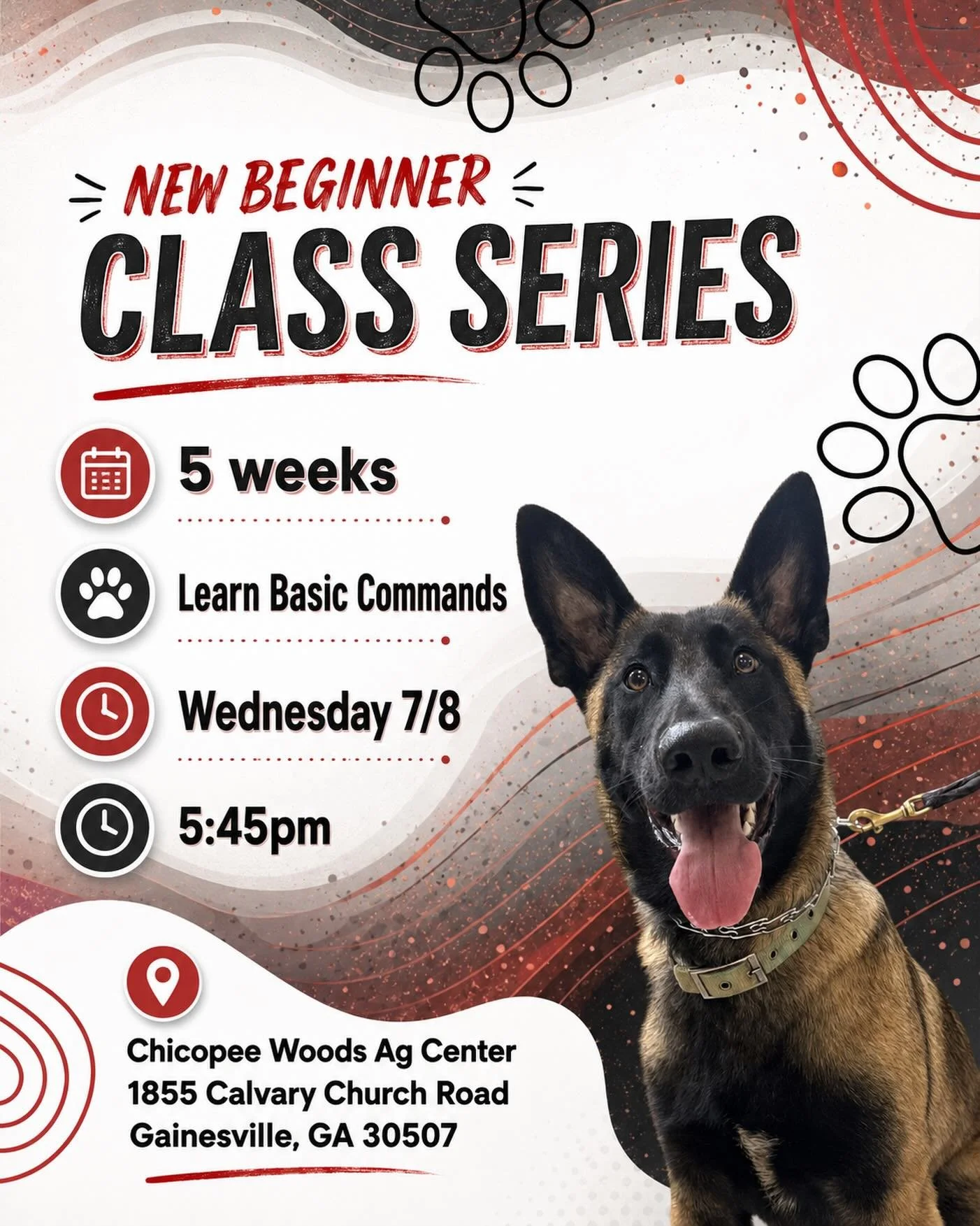 🐾 New Gainesville Beginner Class Series! 🐾

Our next 5-week Beginner Class starts Wednesday, July 8th at 5:45 PM at Chicopee Woods Ag Center in Gainesville!

This class is a great way to help your pup learn basic commands, build confidence, improve