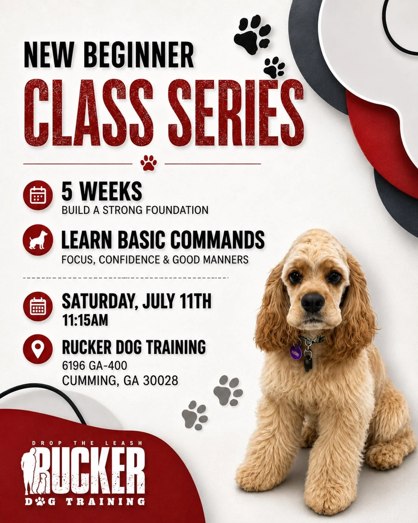 🐾 New Beginner Class Series starts soon! 🐾

Join us for our next 5-week Beginner Class beginning Saturday, July 11th at 11:15 AM!

This class is a great way to help your pup learn basic commands, build confidence, improve focus, and practice good m