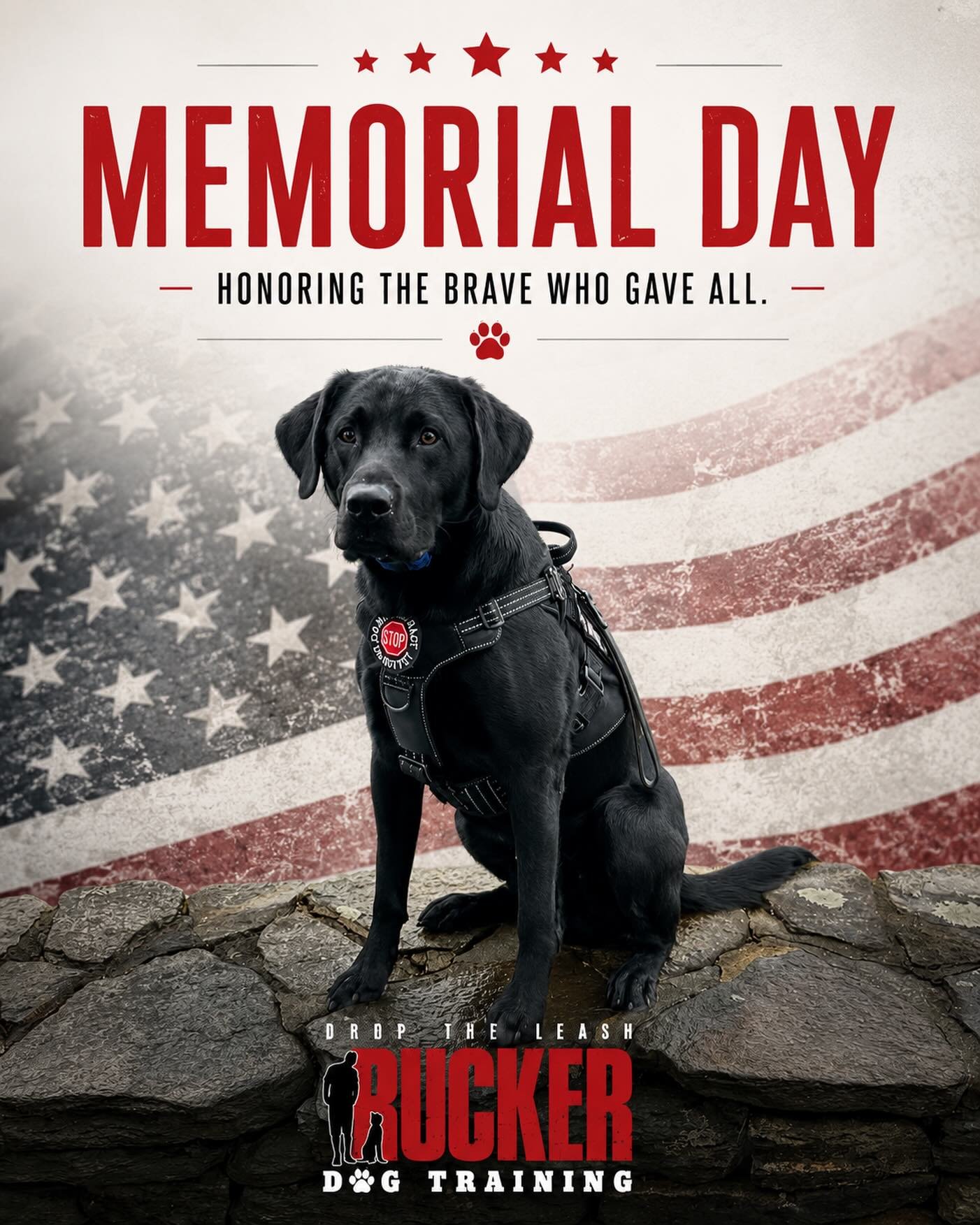 Today we pause to remember and honor the brave men and women who gave everything in service to our country.

Their courage, sacrifice, and dedication will never be forgotten.

From all of us at Rucker Dog Training, we hope everyone has a safe and mea