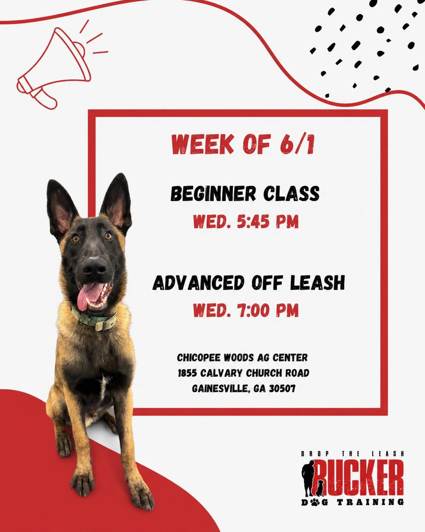 Chicopee Woods Ag Center

Week 4 and things are coming together in Gainesville! 🐾
Beginner Class is working on come/recall while continuing to strengthen all the skills they&rsquo;ve been building over the last few weeks.

Advanced Class is continui