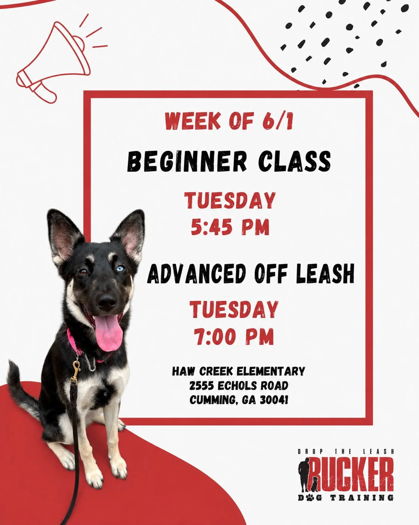 Haw Creek Elementary

Week 4 is here and our Haw Creek teams are doing awesome! 🐾
Beginner Class is working on come/recall this week and continuing to add more reliability around distractions.

Advanced Off Leash pups are keeping things moving with 