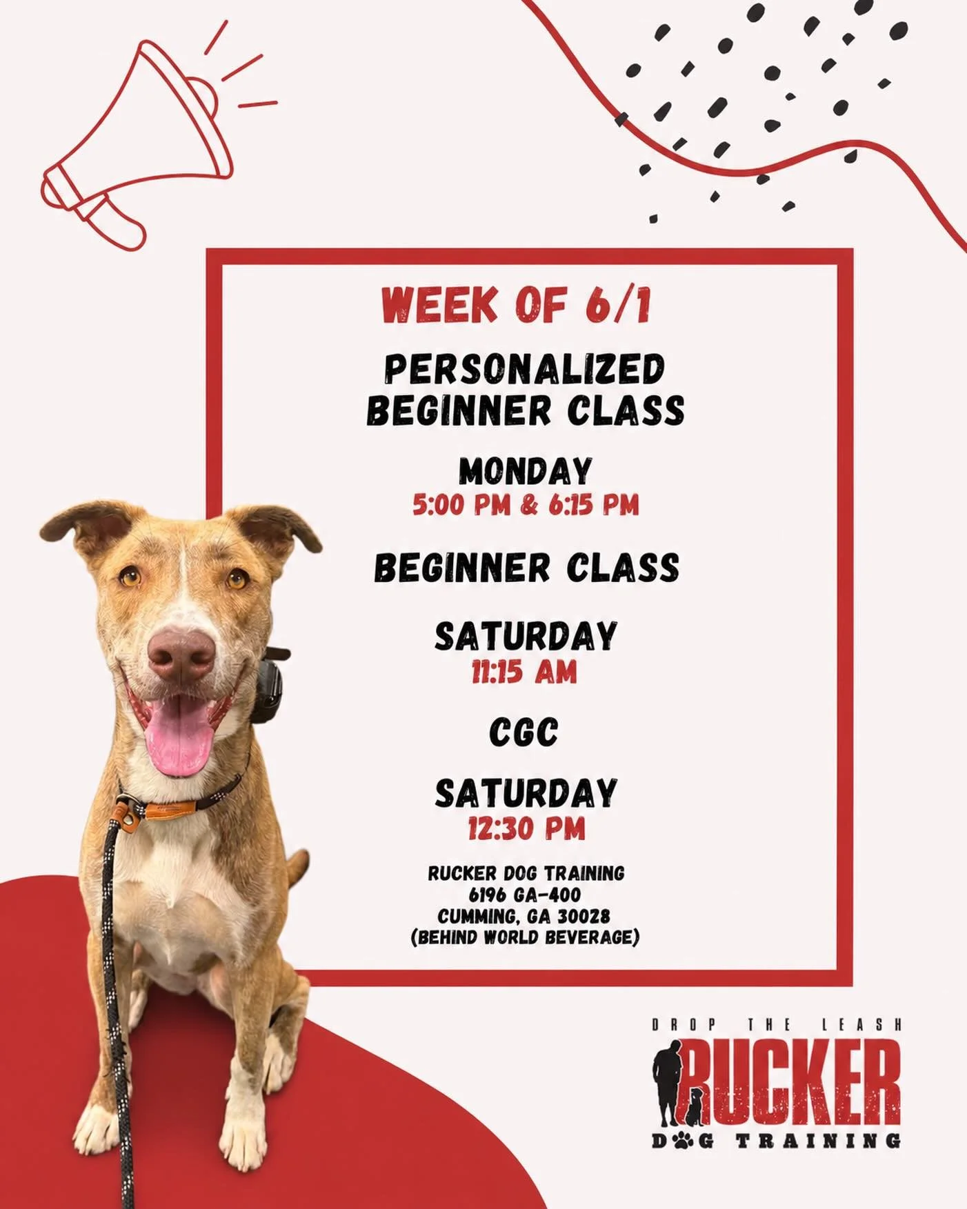Rucker Dog Training &ndash; North Forsyth

Week 4 and these pups are putting in the work! 🐾
Our Personalized Beginner and Beginner classes are working on come/recall this week while continuing to build confidence, focus, and consistency with everyth
