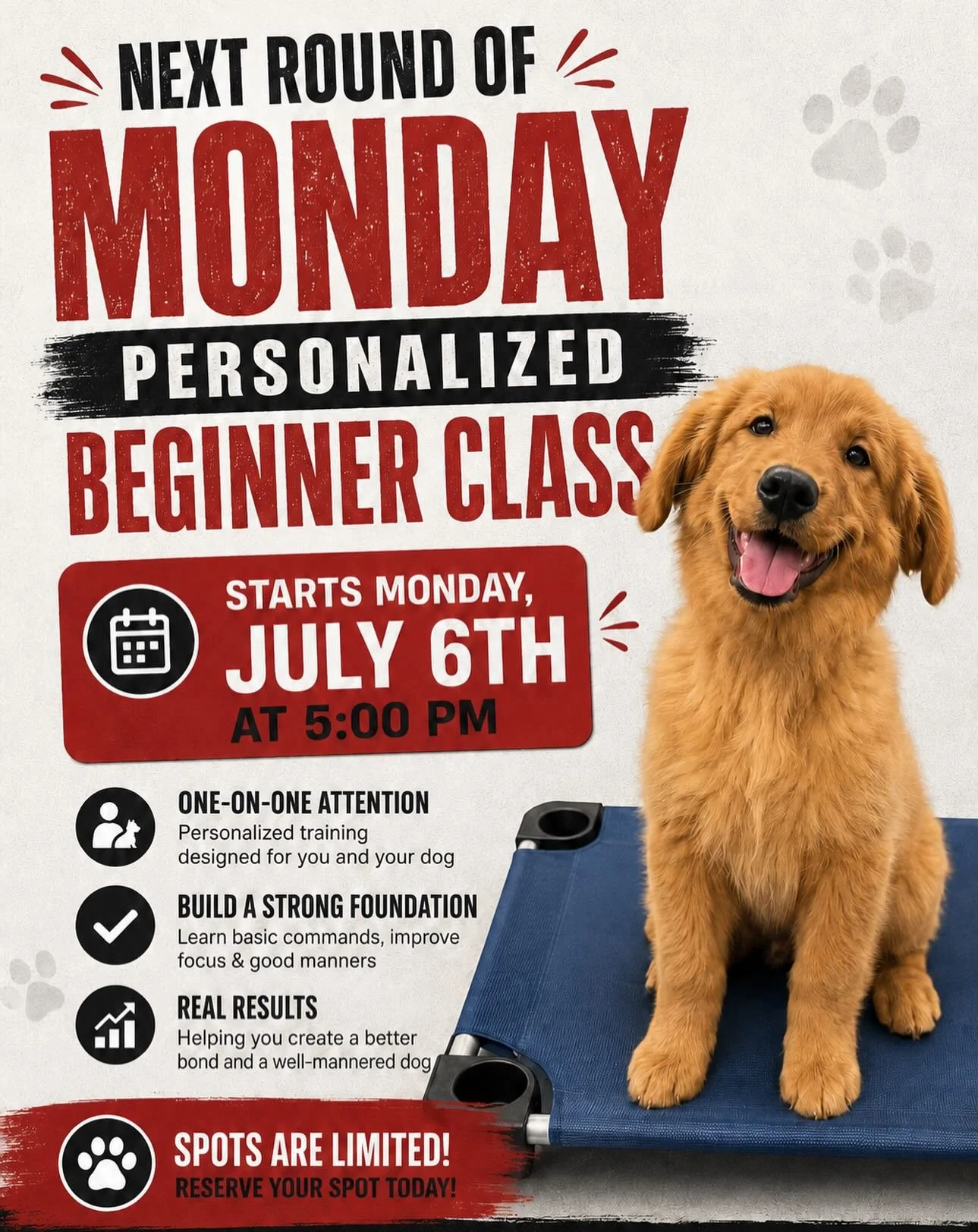 🐾 Next Round of Monday Personalized Beginner is Open! 🐾

Our 5-week Personalized Beginner Class starts Monday, July 6th at 5:00 PM at Rucker Dog Training in Cumming.

This class is designed to help you and your pup build a strong foundation with ba