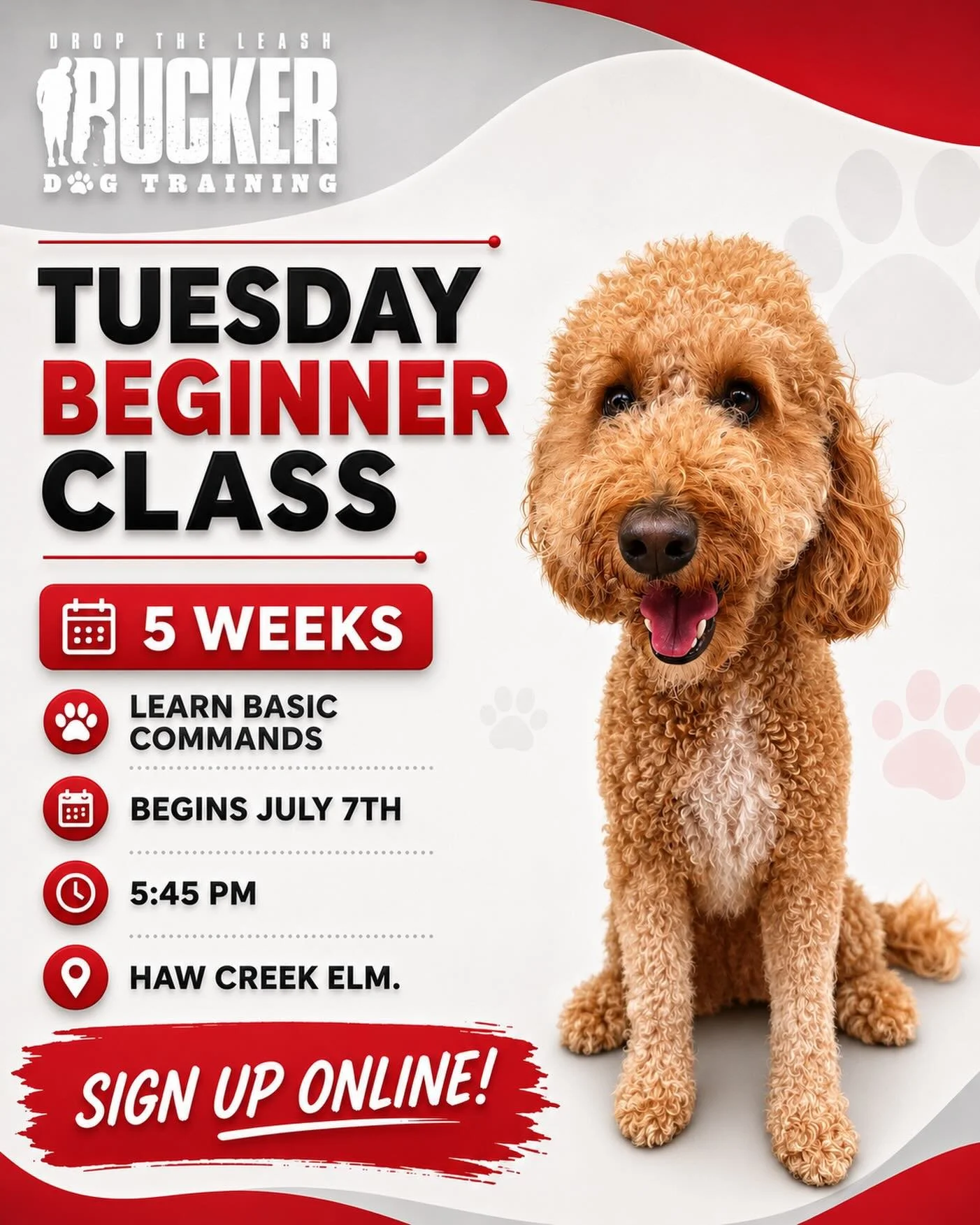 🐾 Let&rsquo;s get your pup started! 🐾

Our next 5-week Beginner Class begins Tuesday, July 7th at 5:45 PM at Haw Creek Elementary!

This class focuses on teaching basic commands, building confidence, improving focus, and helping your dog learn to w