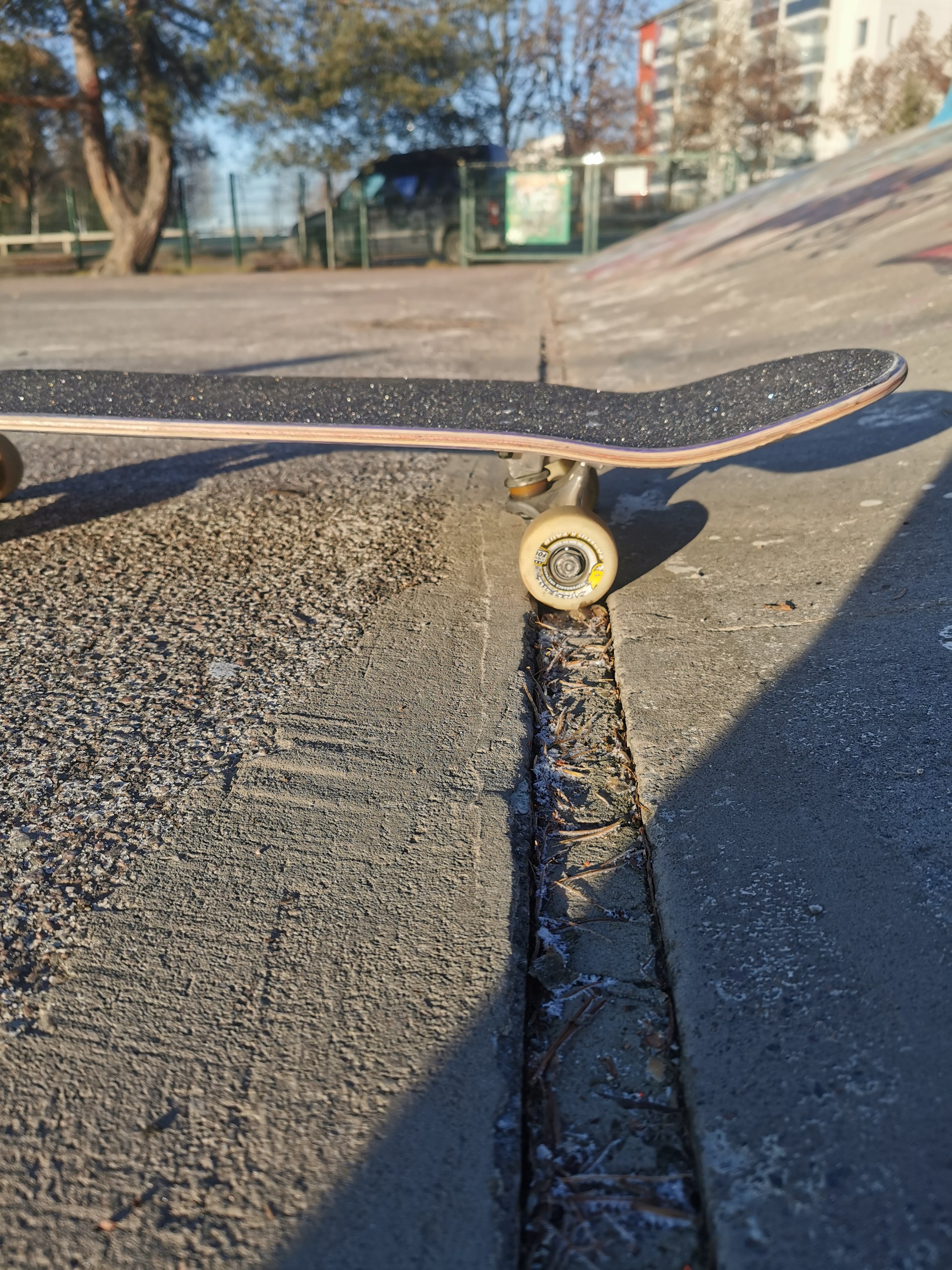 Koloja flätissä.jpg