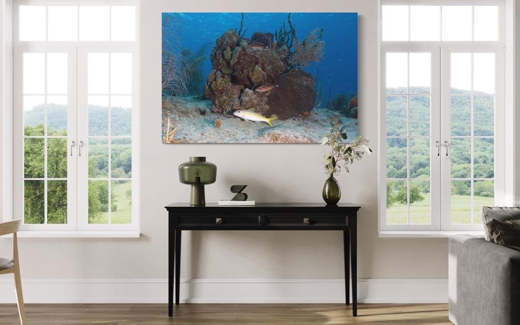 Yellow Goatfish spotted at Grand Cayman, wall art print.