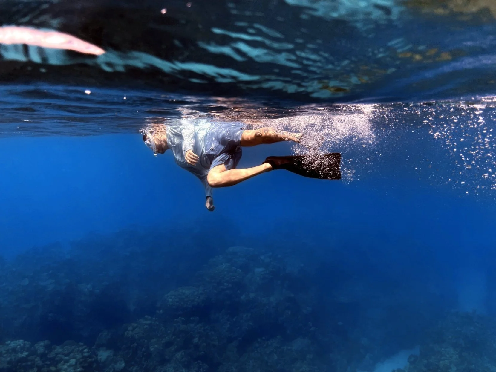 From Ocean Art Photographer to Dive Adventures: Introducing TheDiveGuide