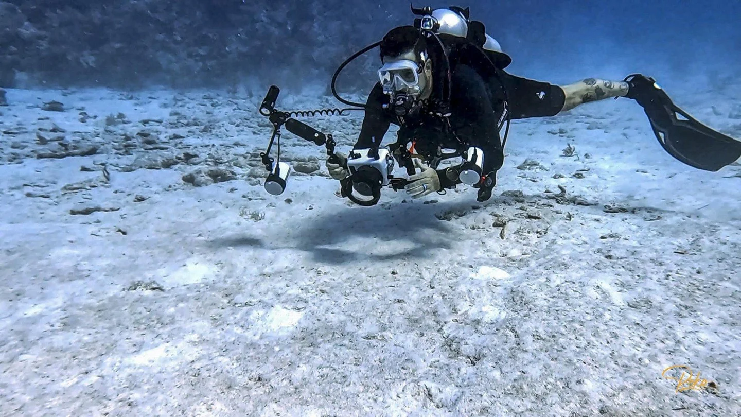 POV: You&rsquo;re me, underwater with my trusty camera, capturing the magic of the deep blue. 📸🐠 Wanna learn how to dive and snap like this? Let&rsquo;s make it happen! 🌊✨ #UnderwaterPhotography #TheDiveGuide