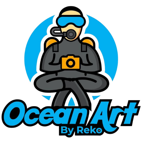 Ocean Art by Reko