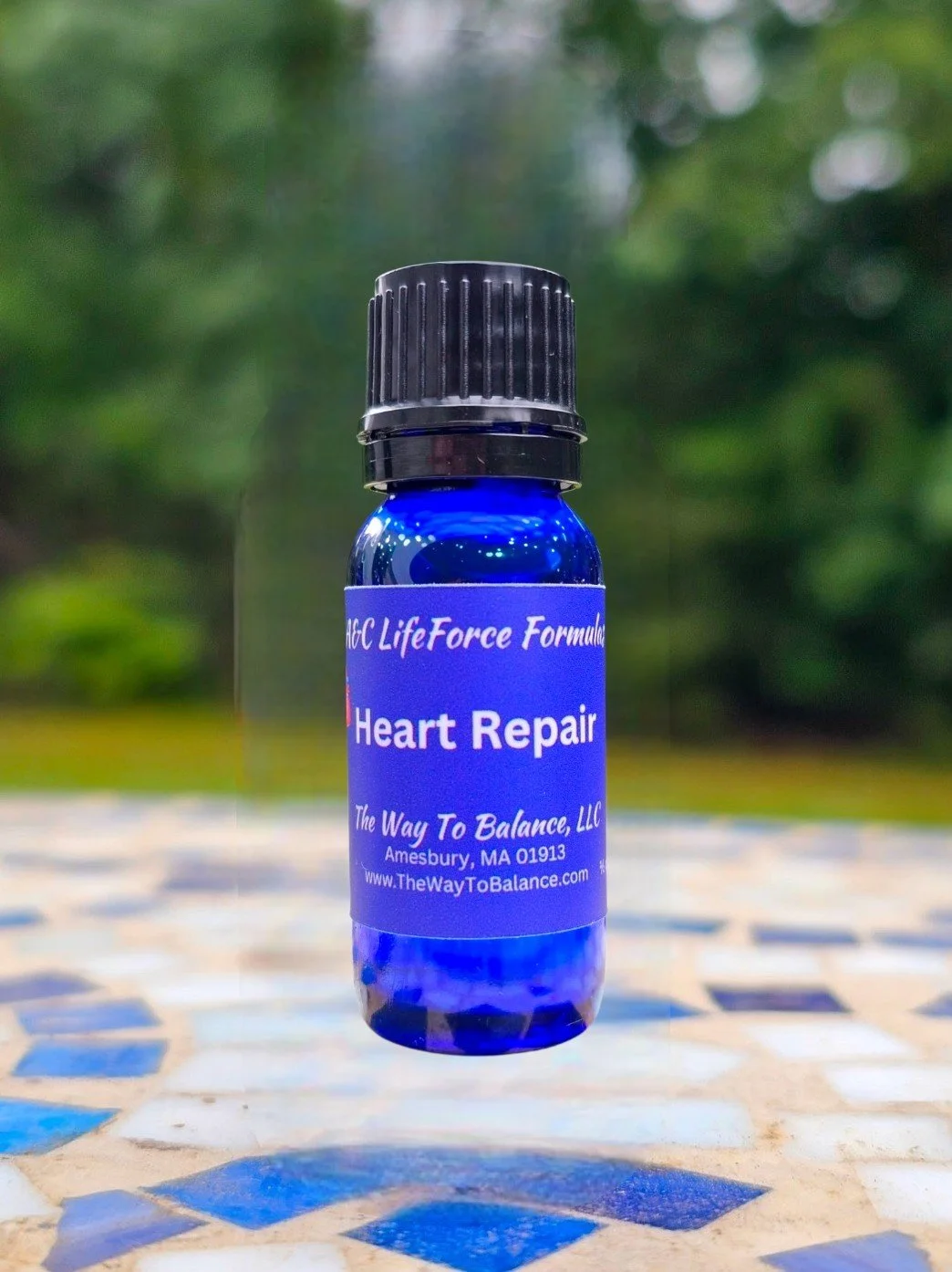 Heart Repair3.jpg
