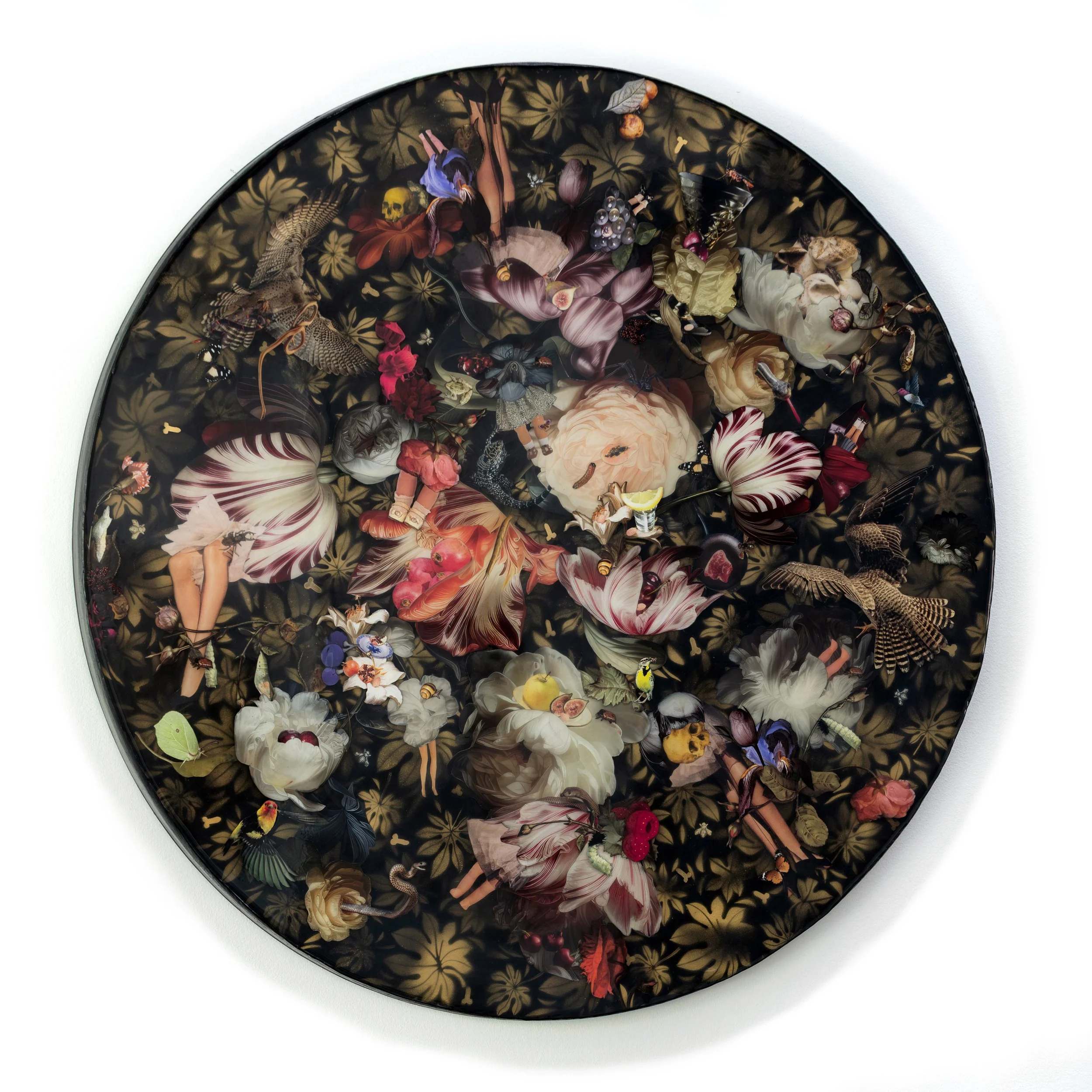 Circular artwork with a collage of flowers, insects, animals, and human figures on a dark background.