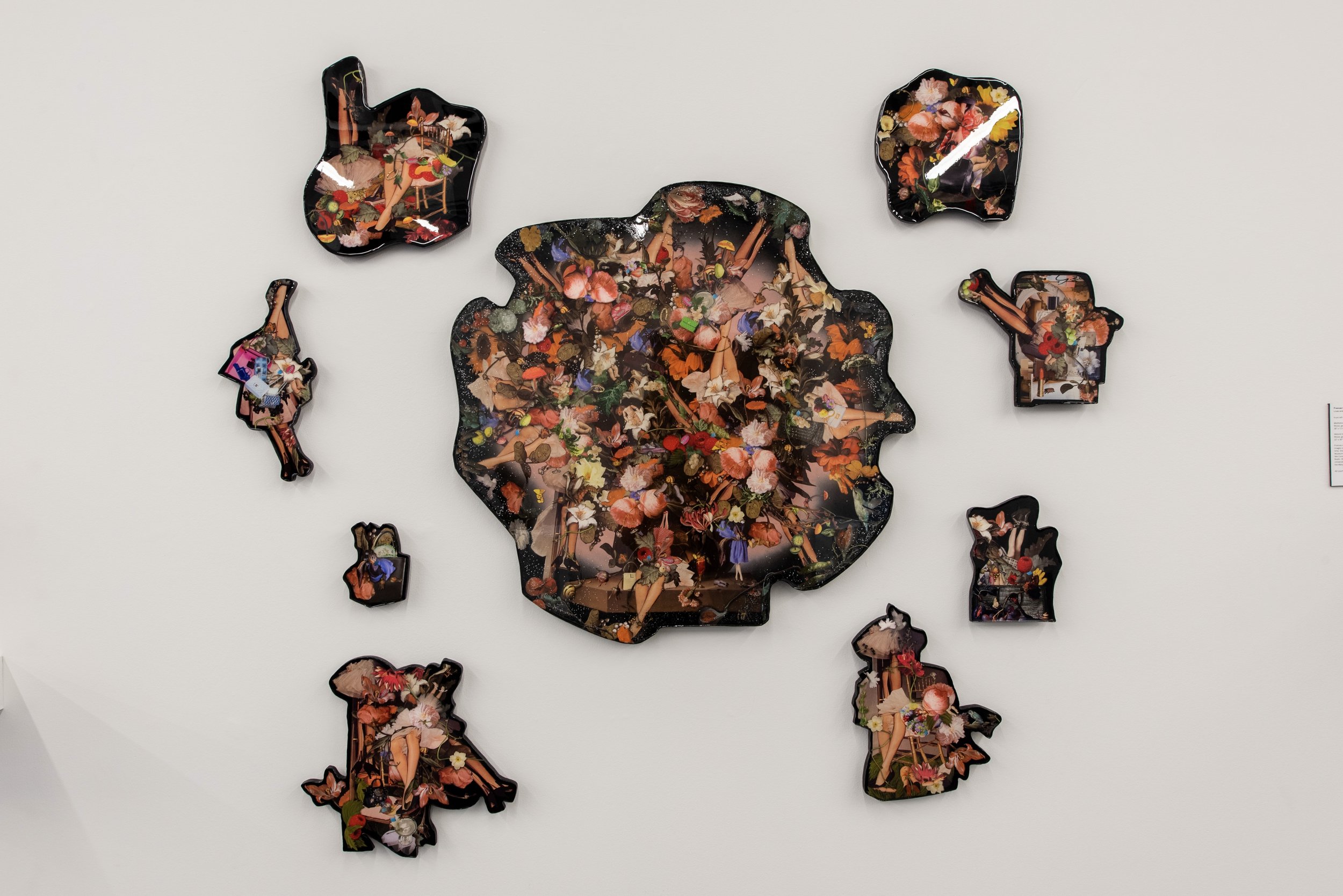 An art installation of multiple cut-out shapes resembling map outlines, decorated with a collage of floral and human imagery, mounted on a white wall.