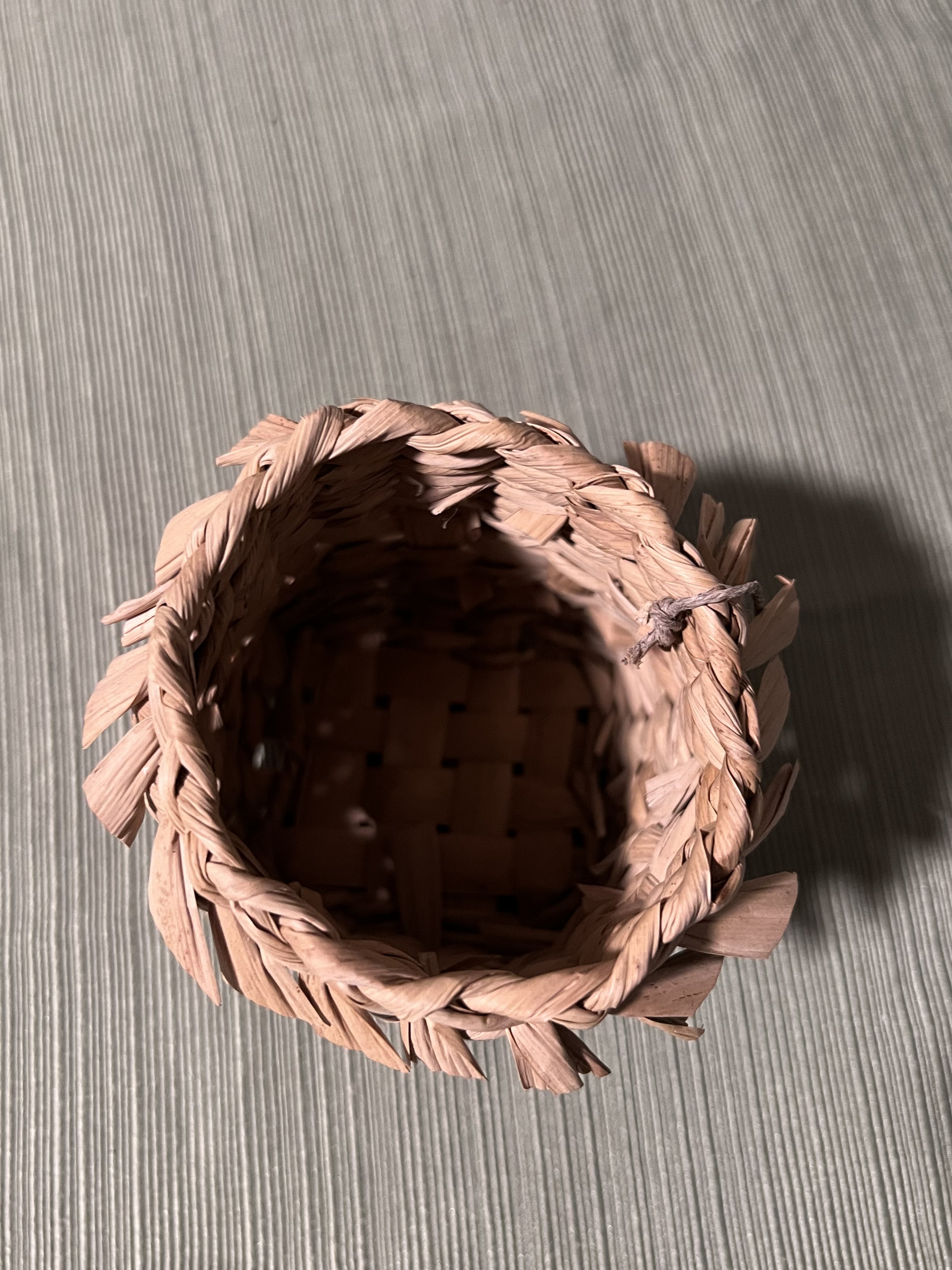 6FC5ADD6-6488-4664-B110-EA57085537C6.jpeg