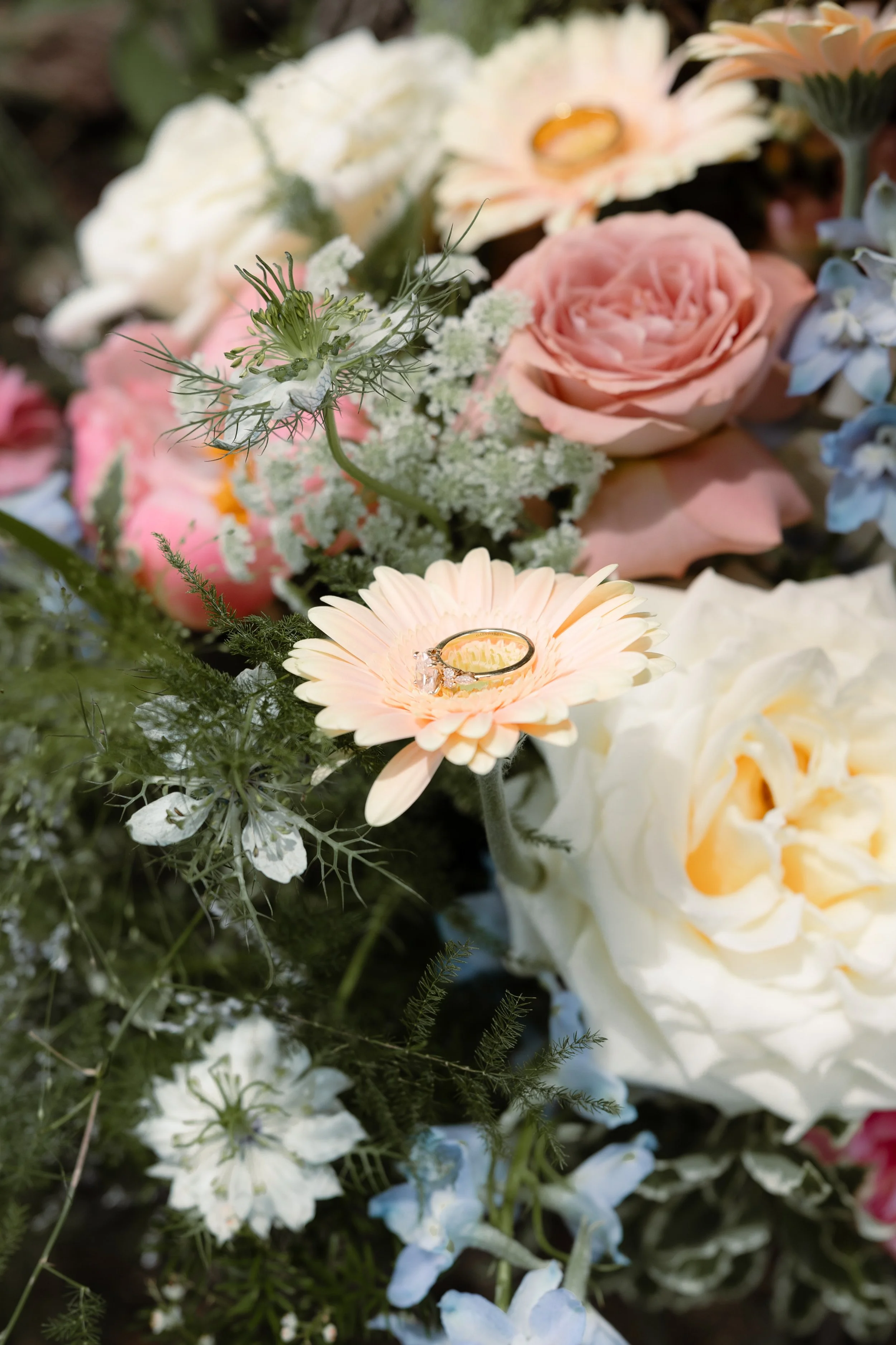 rileyannphotography-1-132.jpg