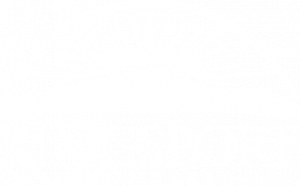 kingsport-logo-white-300x186.png