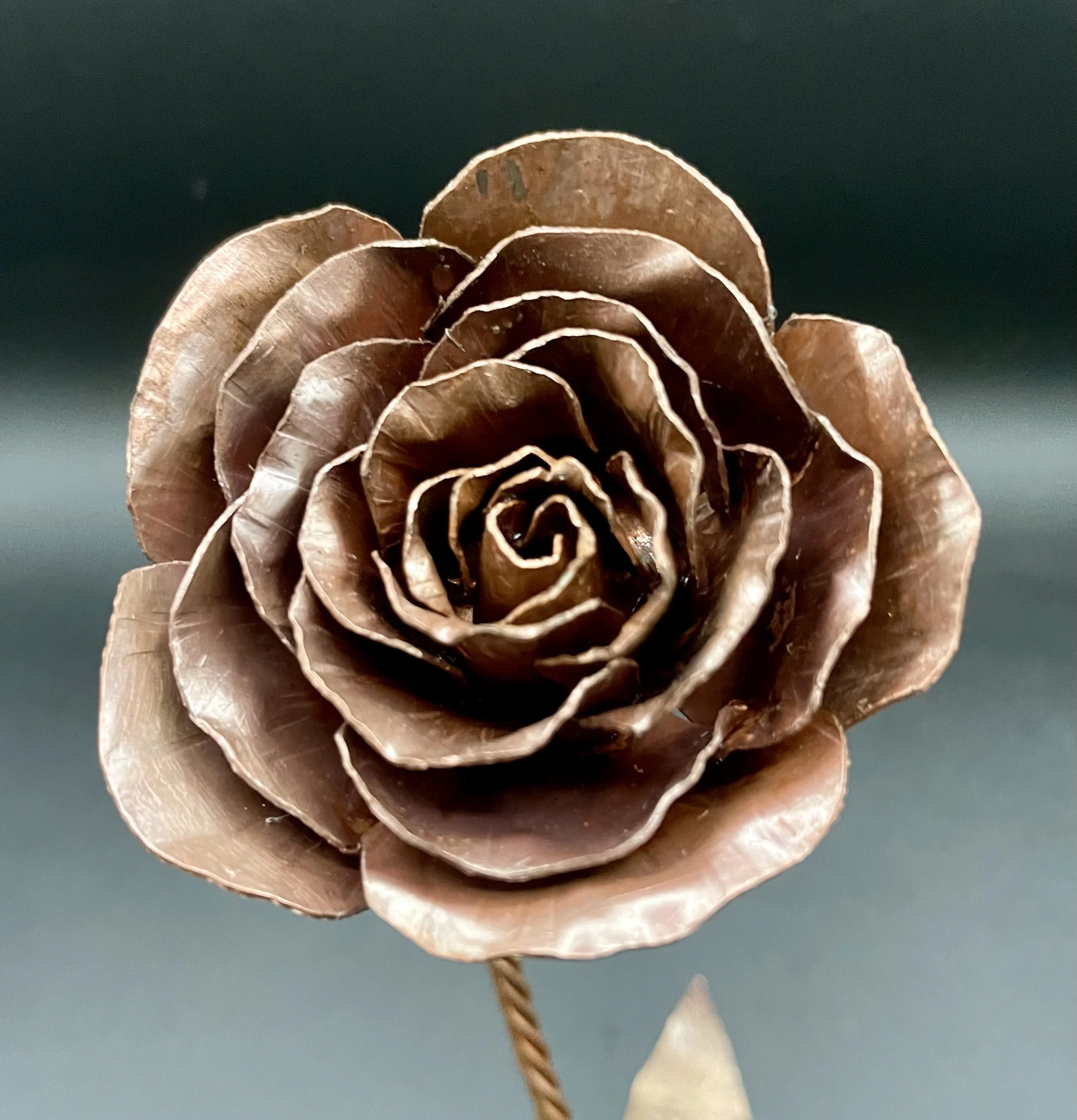 Smith a Copper Rose With ETSU Professional Development 