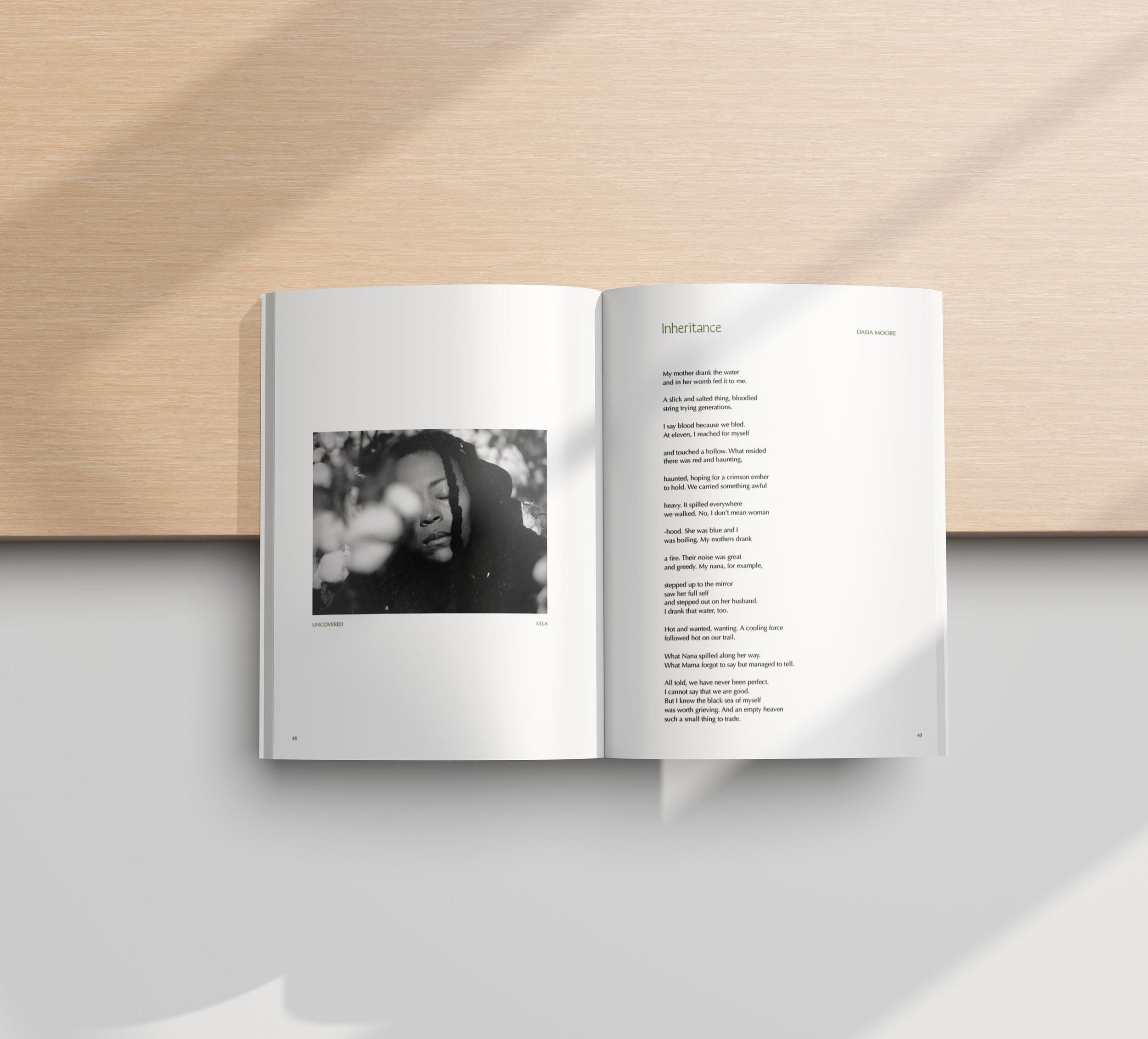 02 Book Mockup-inheritance.jpg