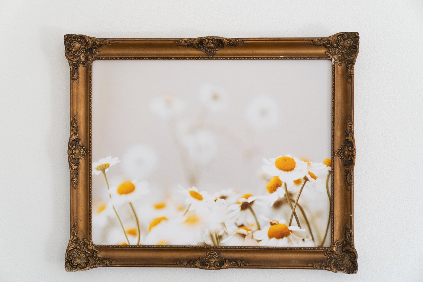 chamomile-art.jpg