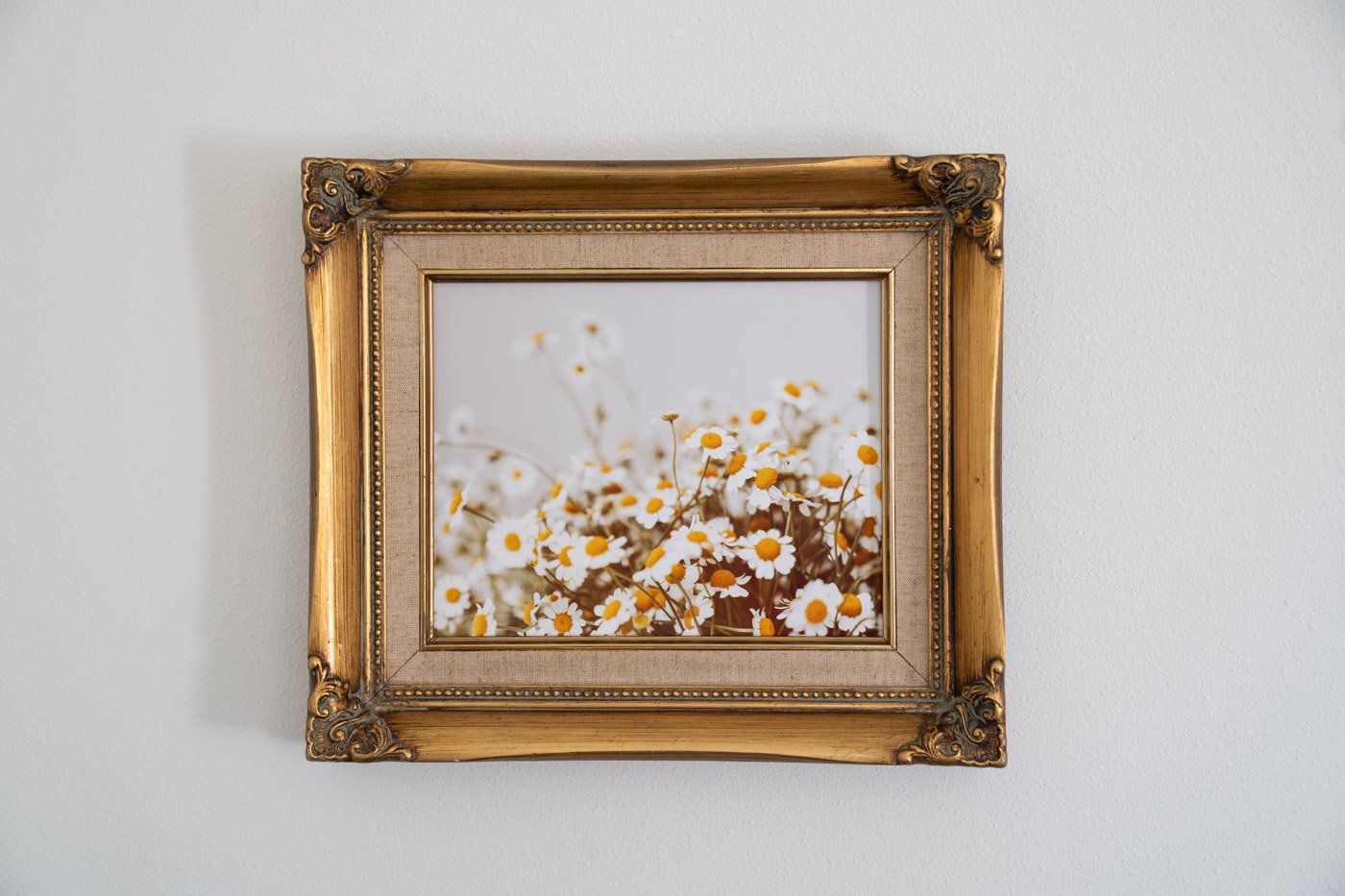 chamomile-vintage-frame.jpg