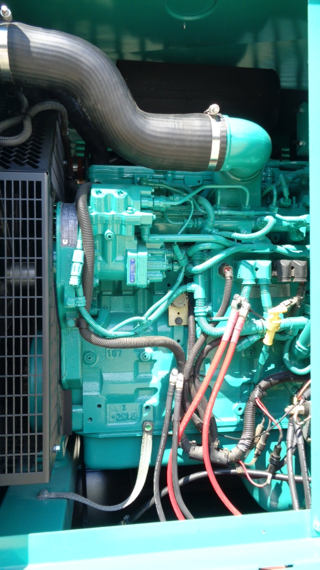 DSC05631.JPG