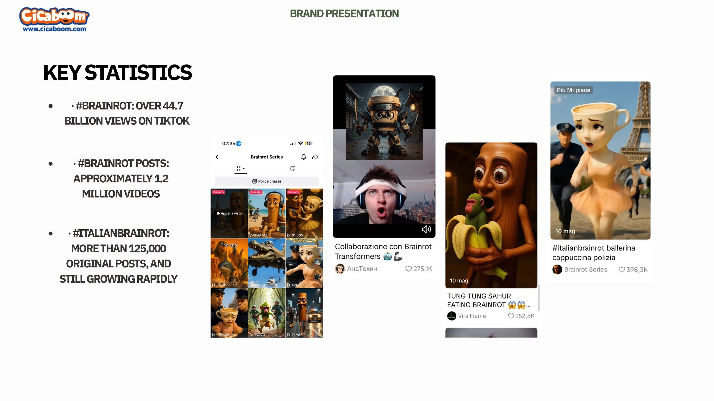 BRAINROT BRAND PRESENTATION (005)_Page_4.jpg