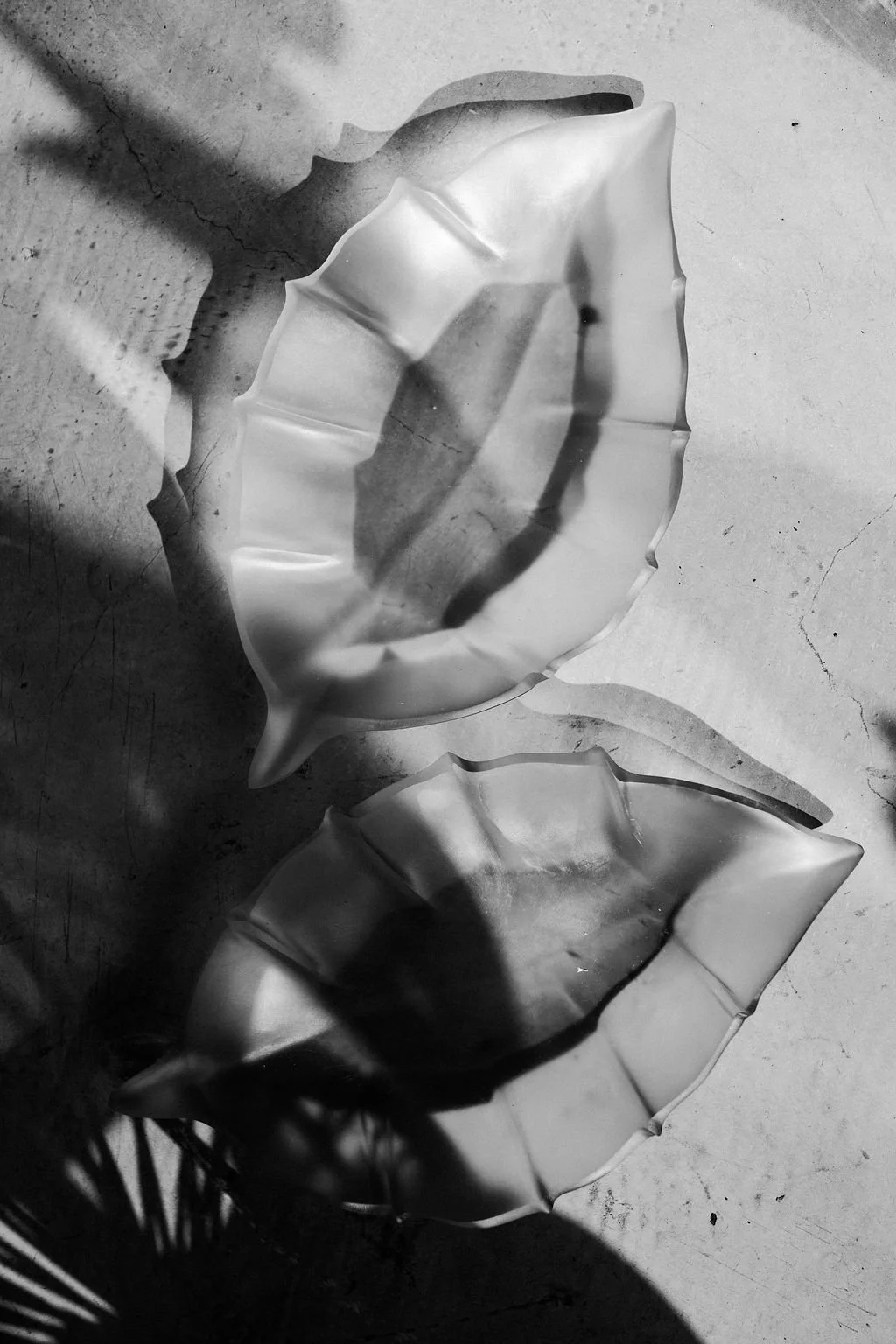 Blog Post Title Four (Copy) (Copy)